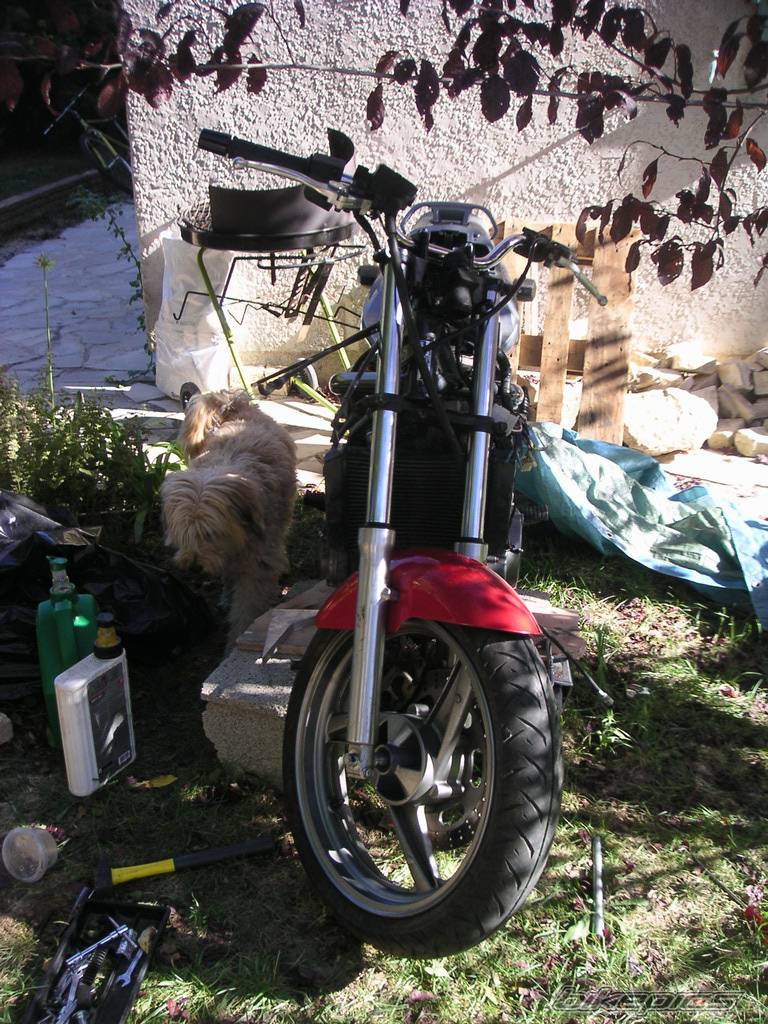 Bike Photo 225412