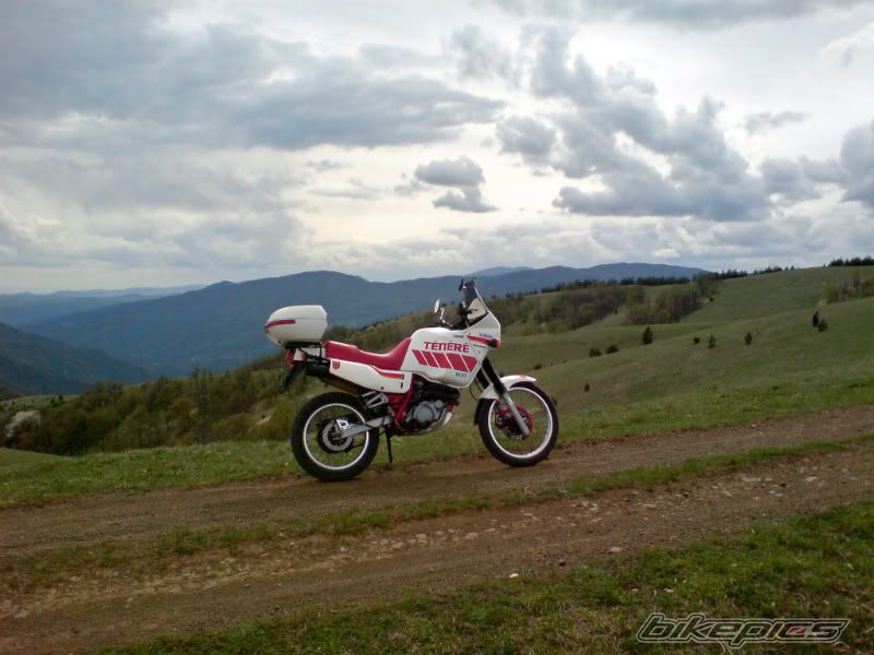Photo 2254164