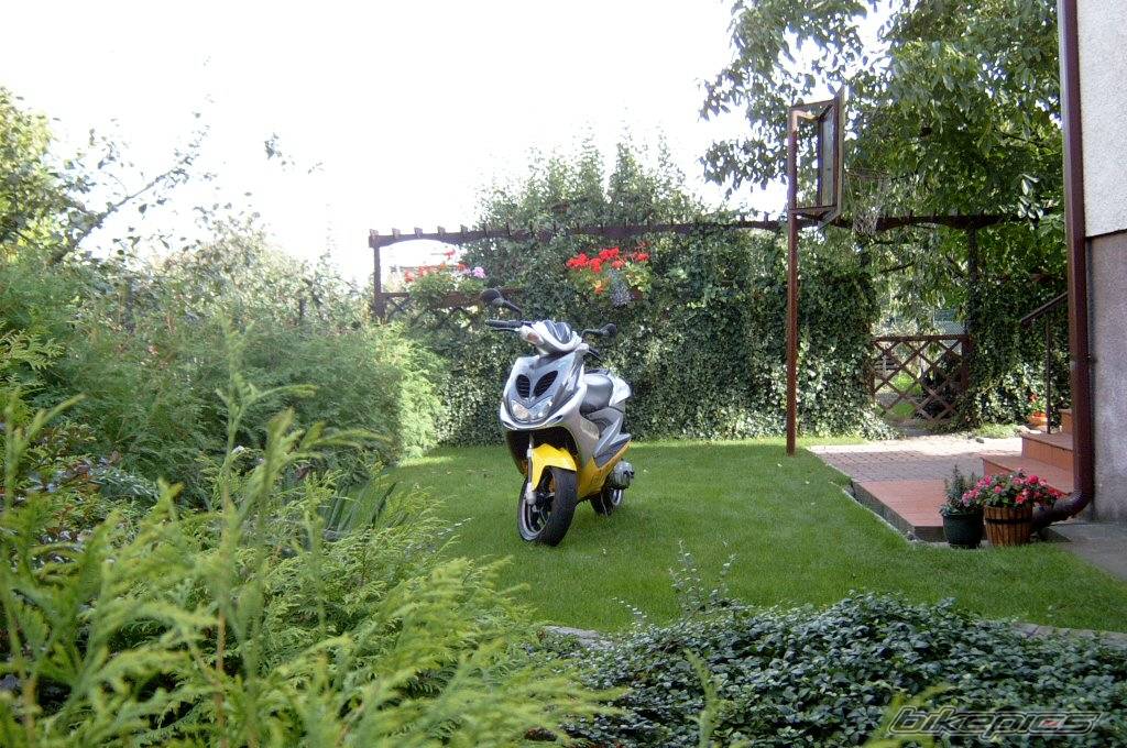 Photo 225417