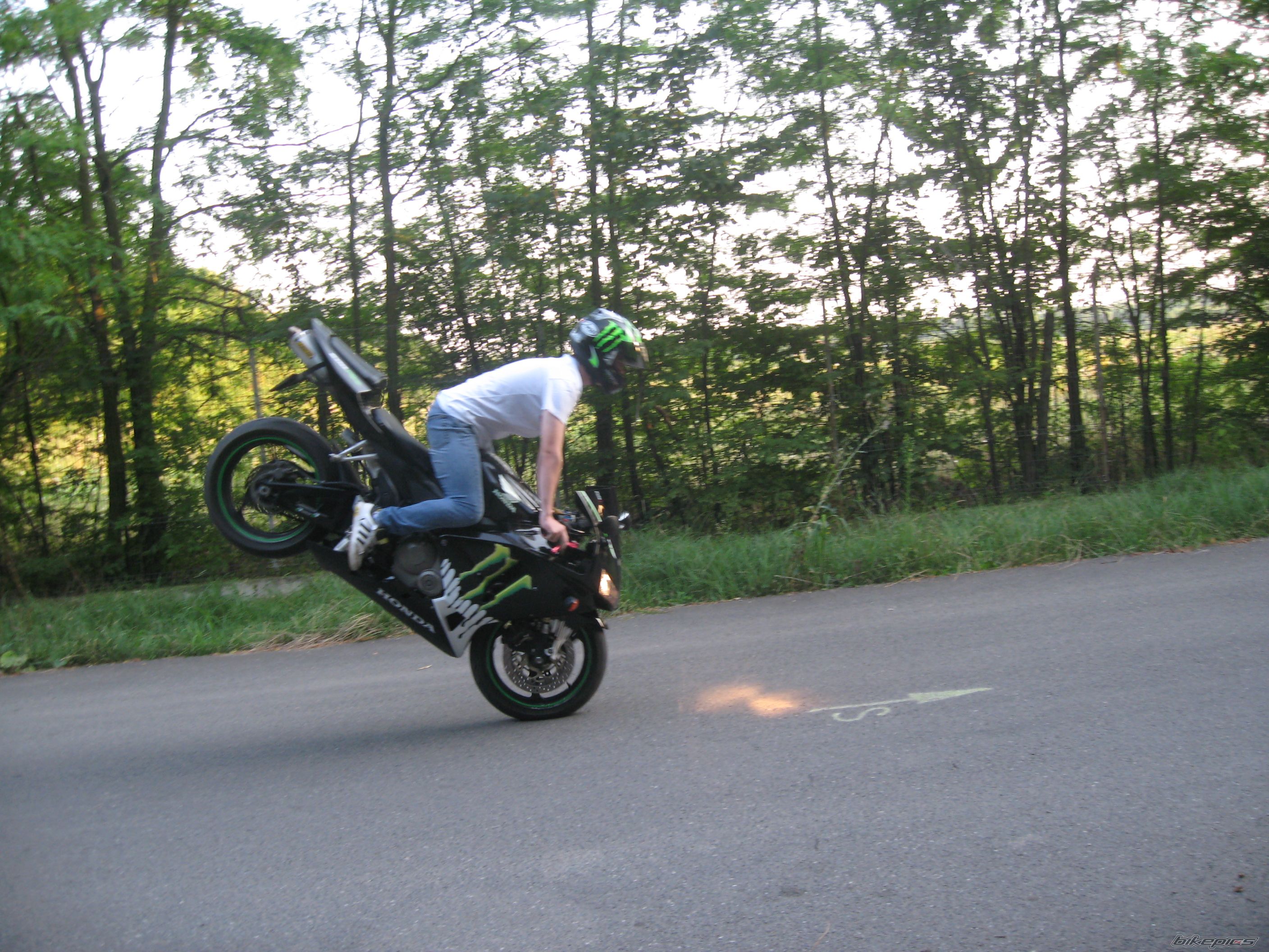 Photo 2254171