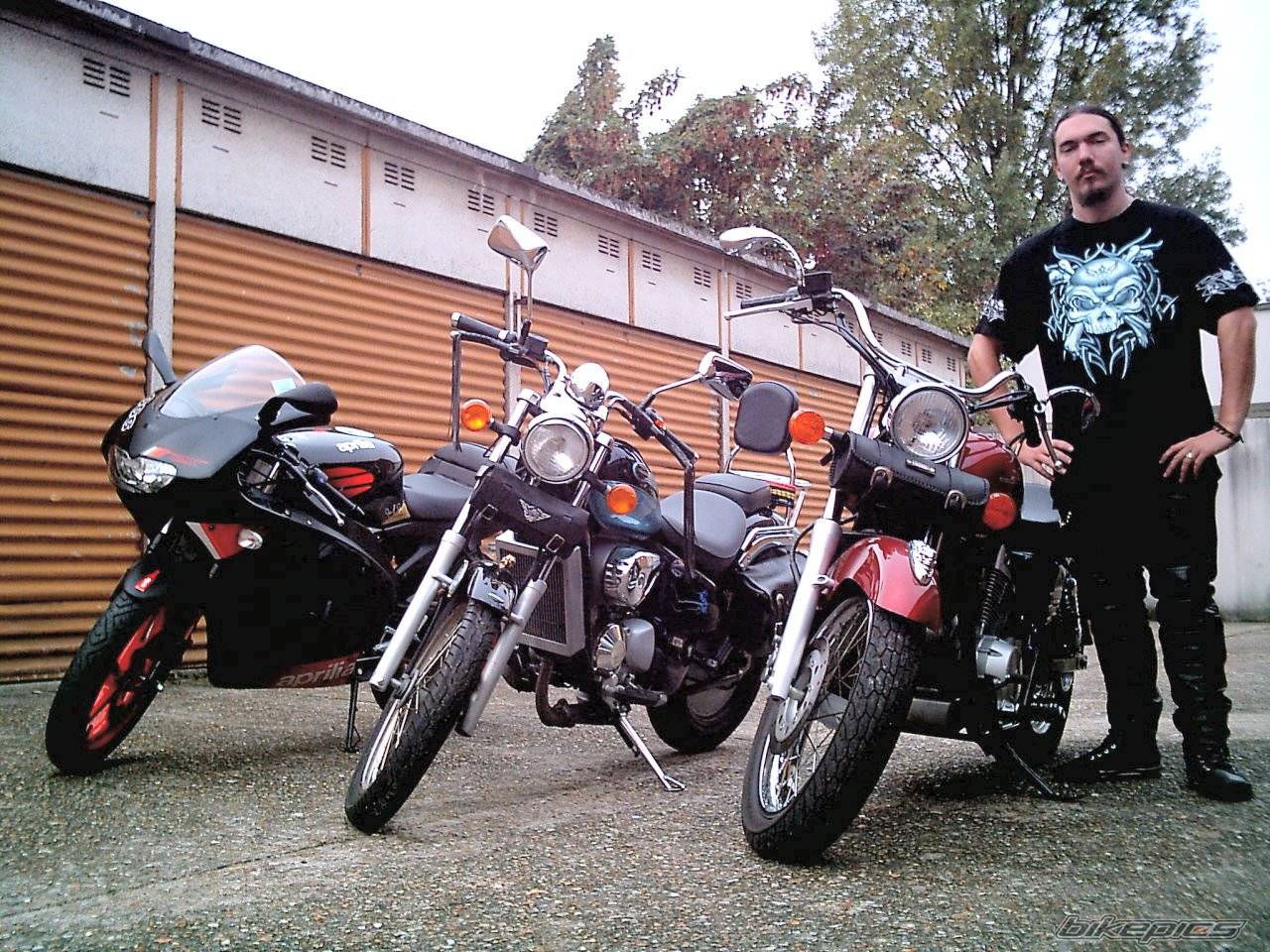 Photo 225431