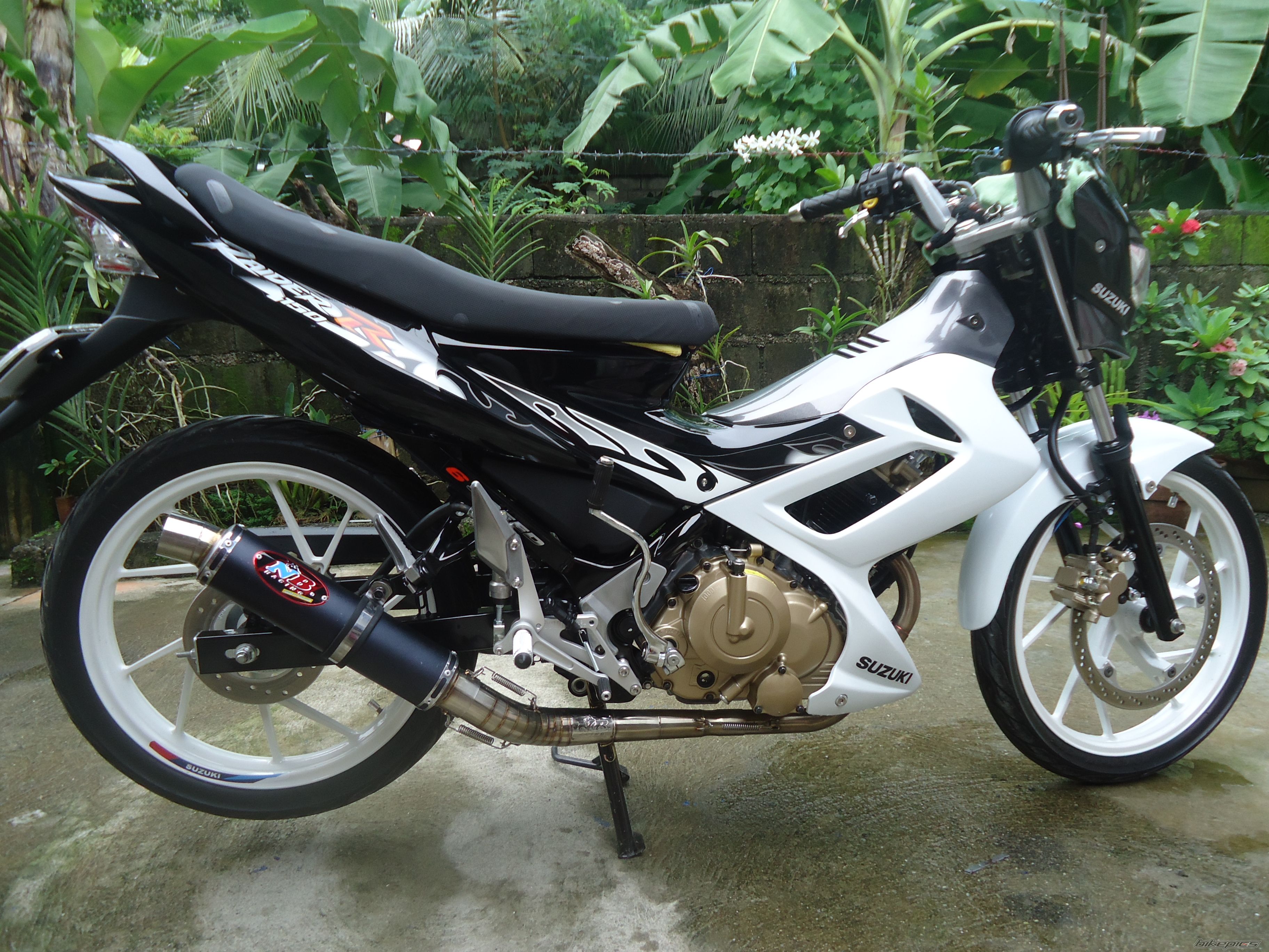 Photo 2254392