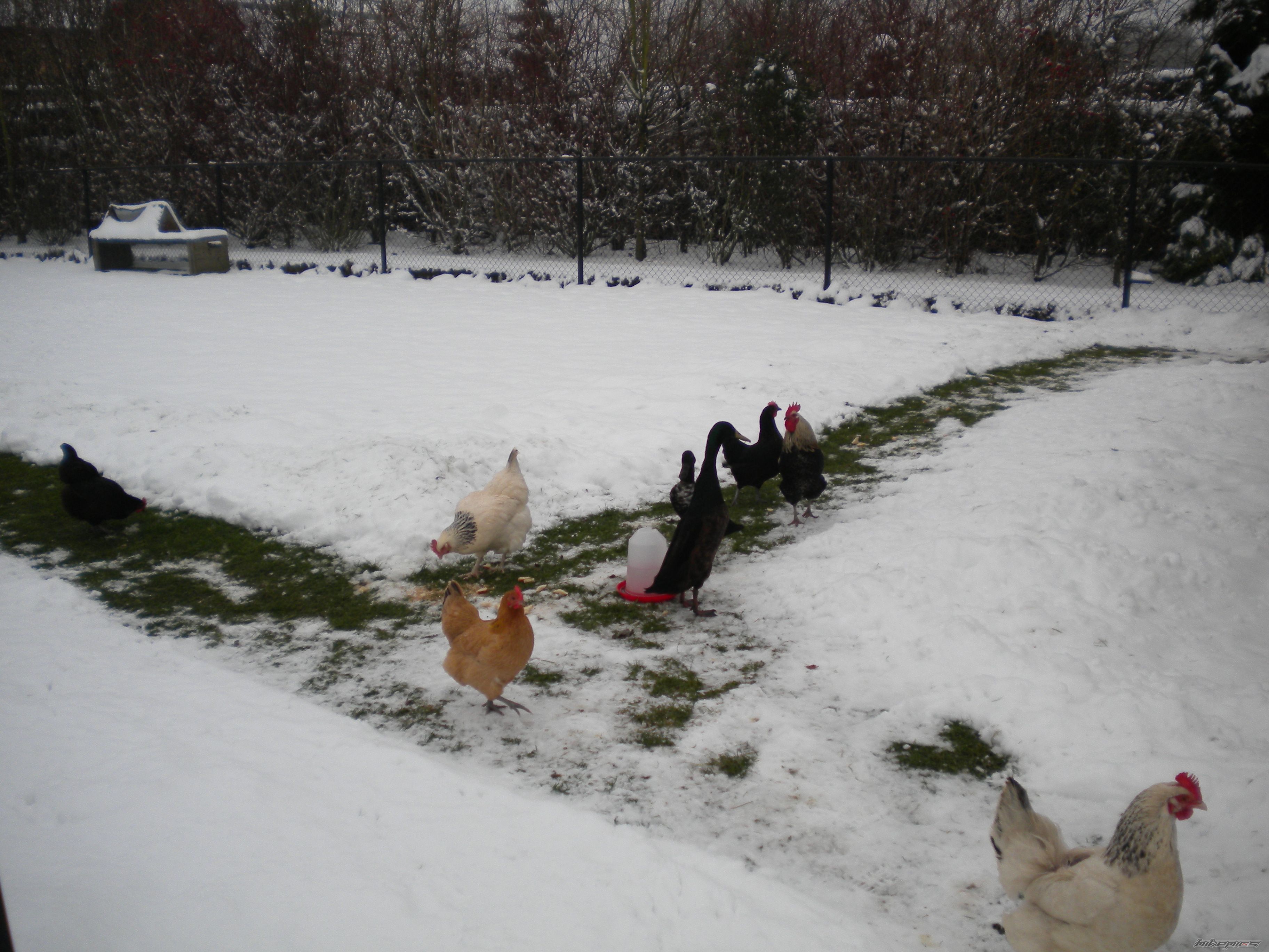 Photo 2254427
