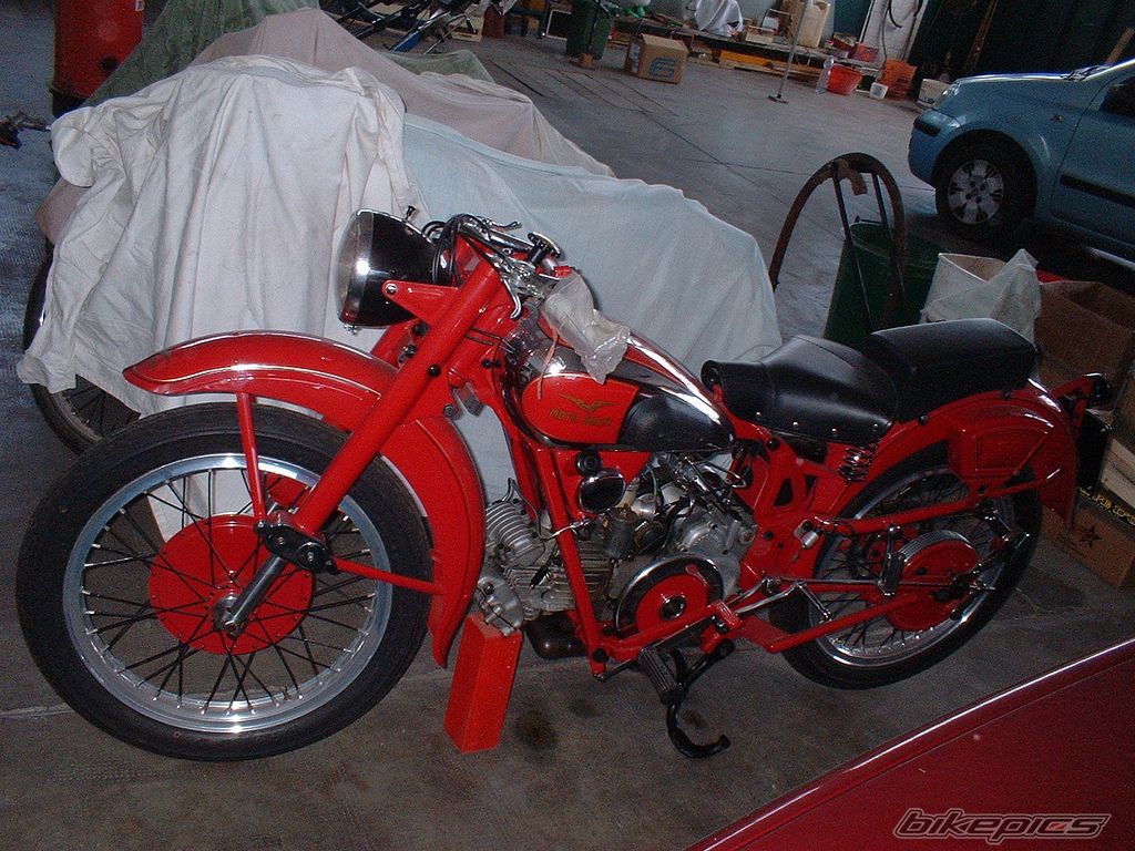 Falcone500