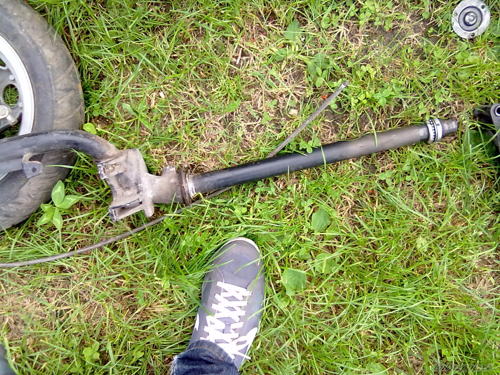Photo 2254503