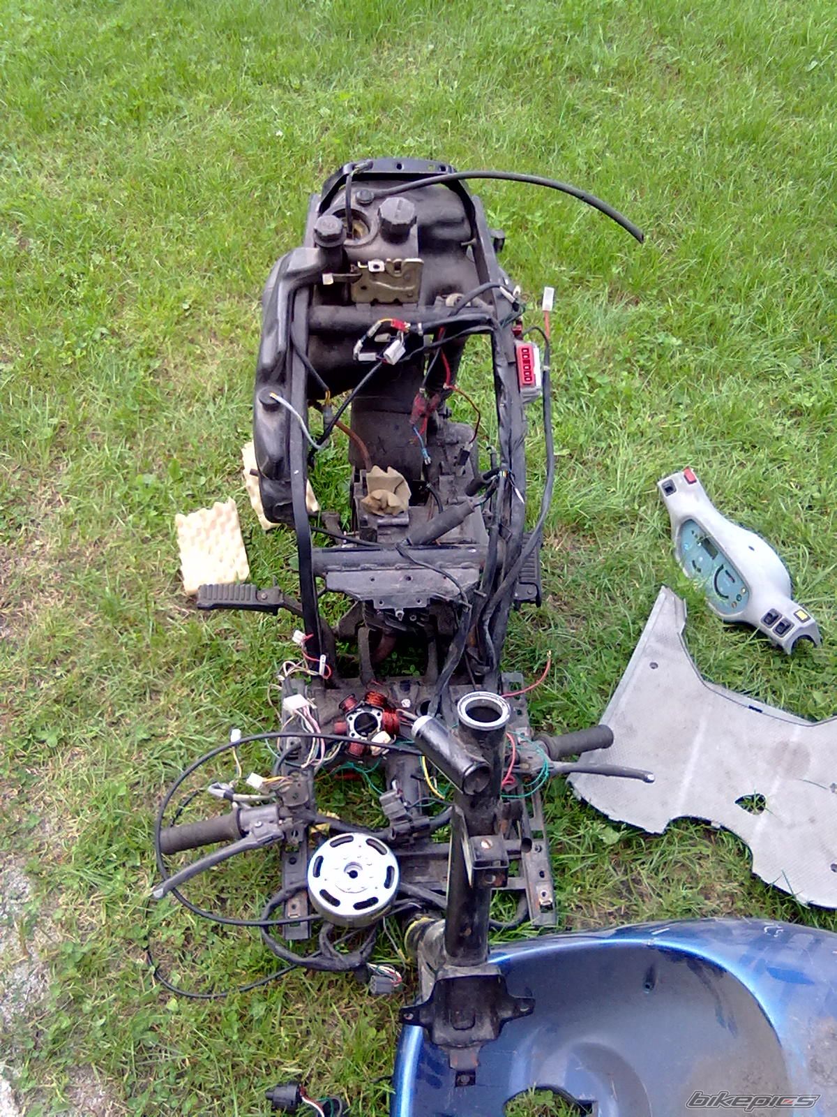 Photo 2254519
