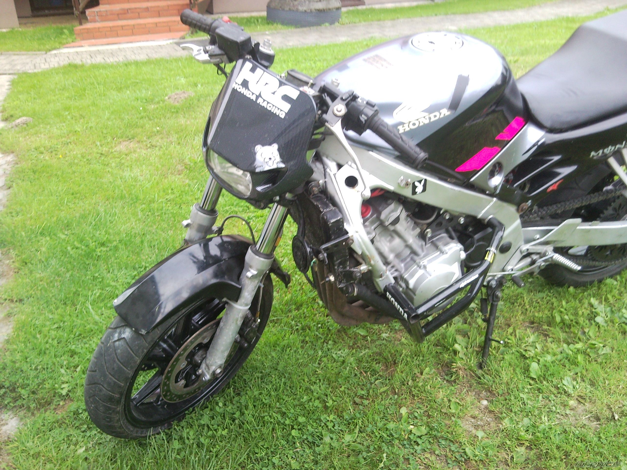 Photo 2254567