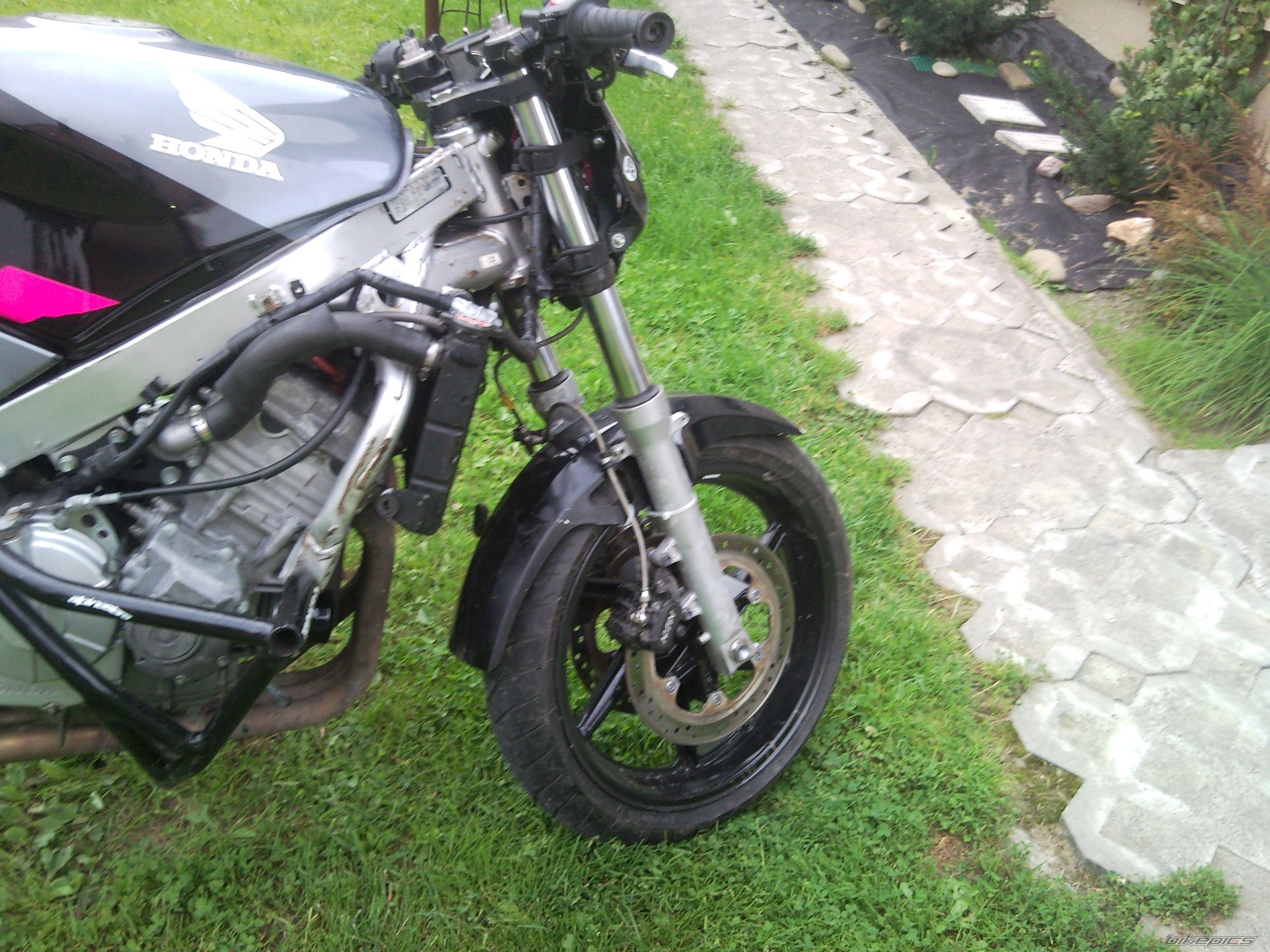 Photo 2254568