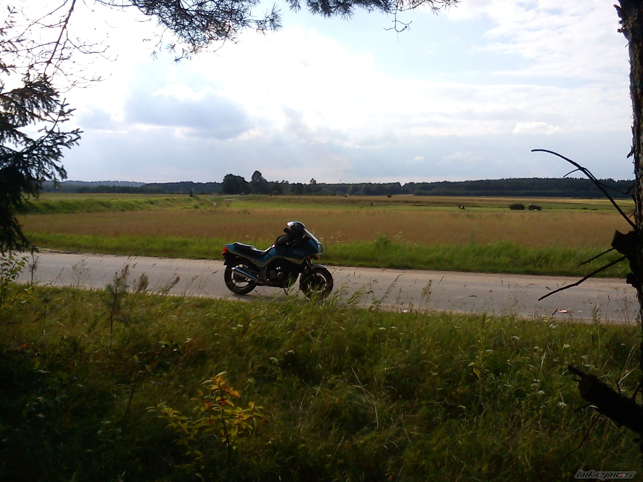 Photo 2254587
