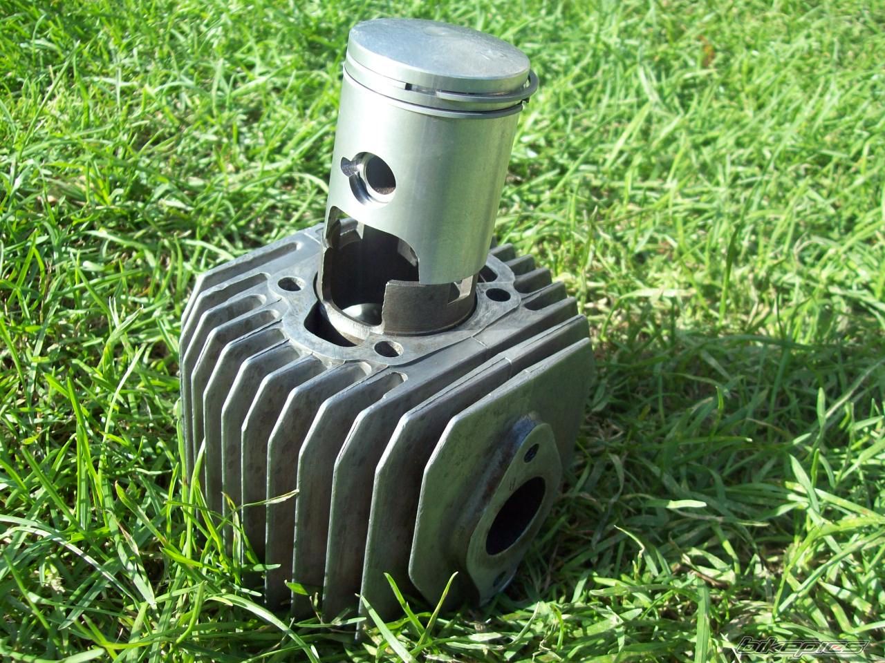 Photo 2254598
