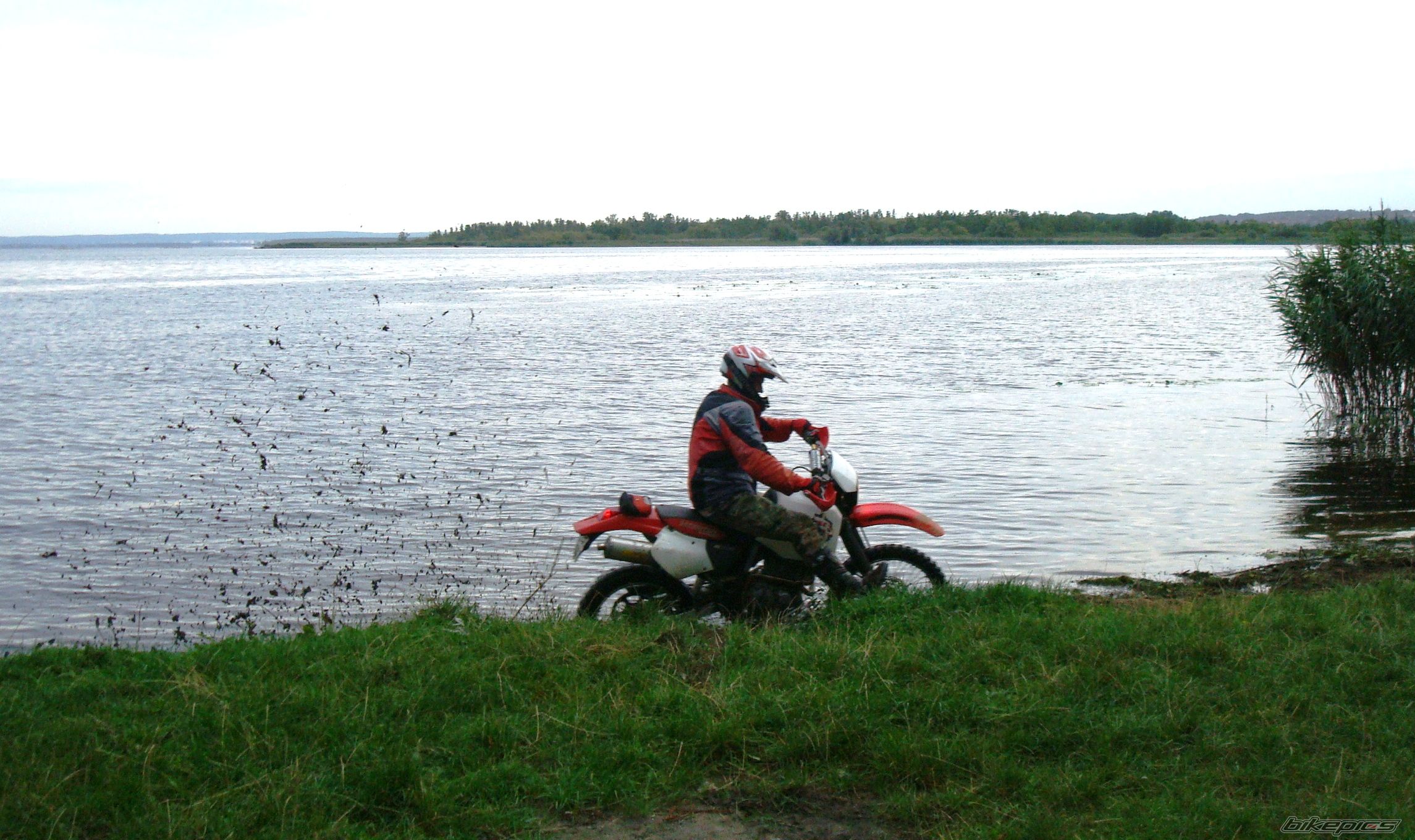 Photo 2254705
