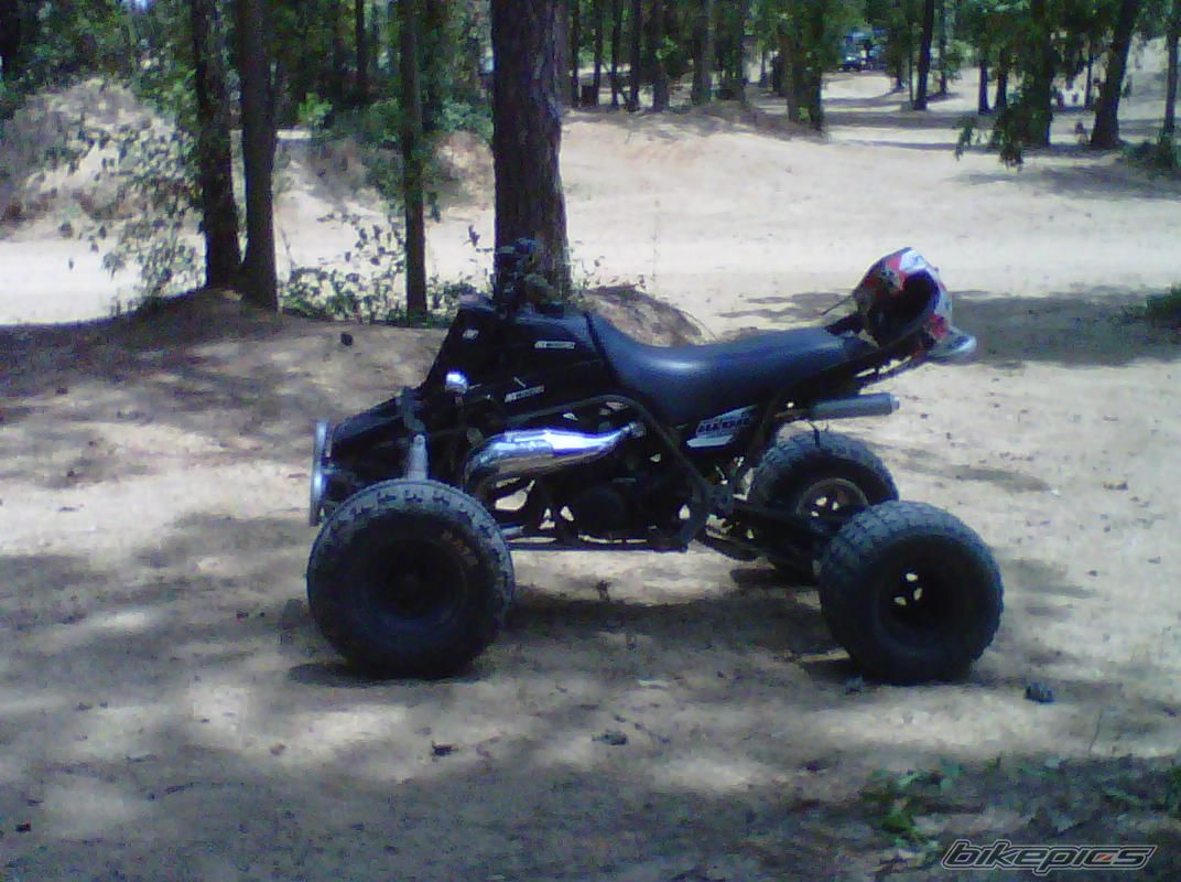 Photo 2254754