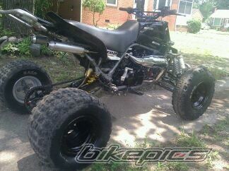 Photo 2254755