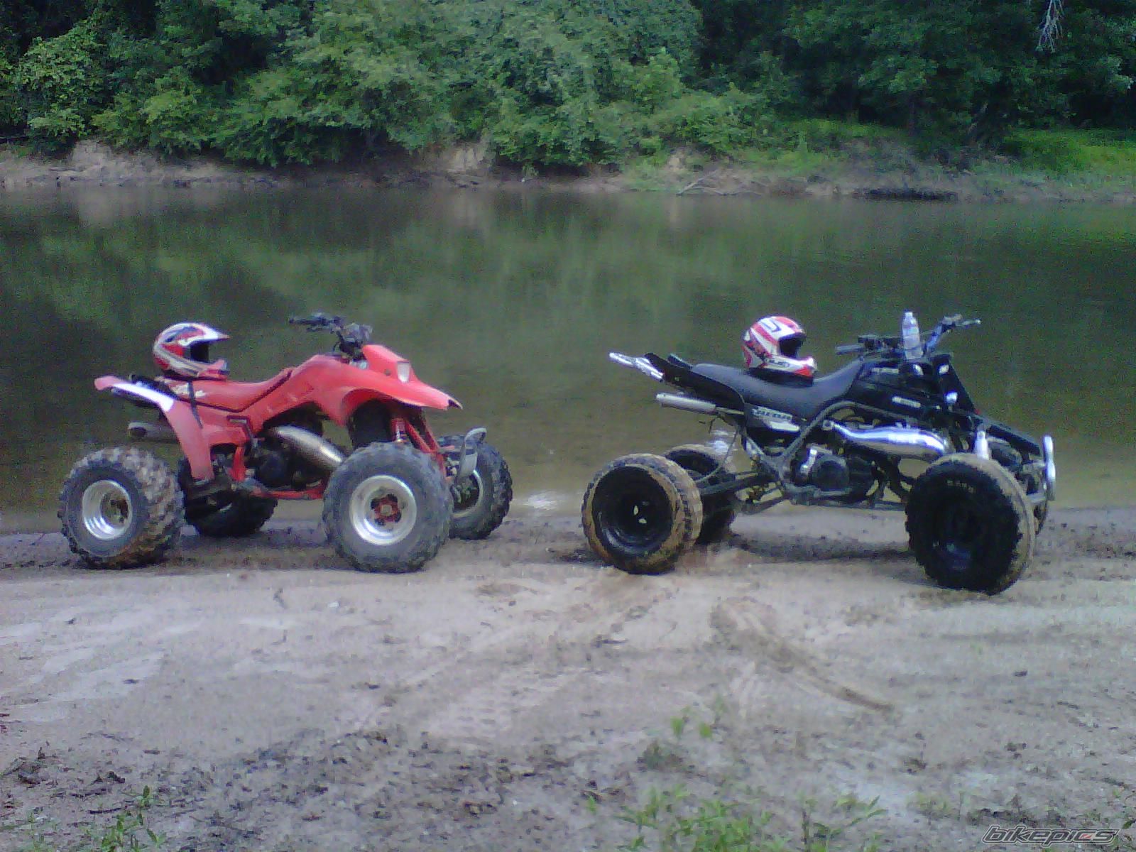 Photo 2254756