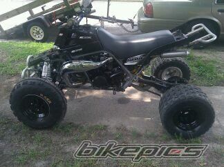 Photo 2254757