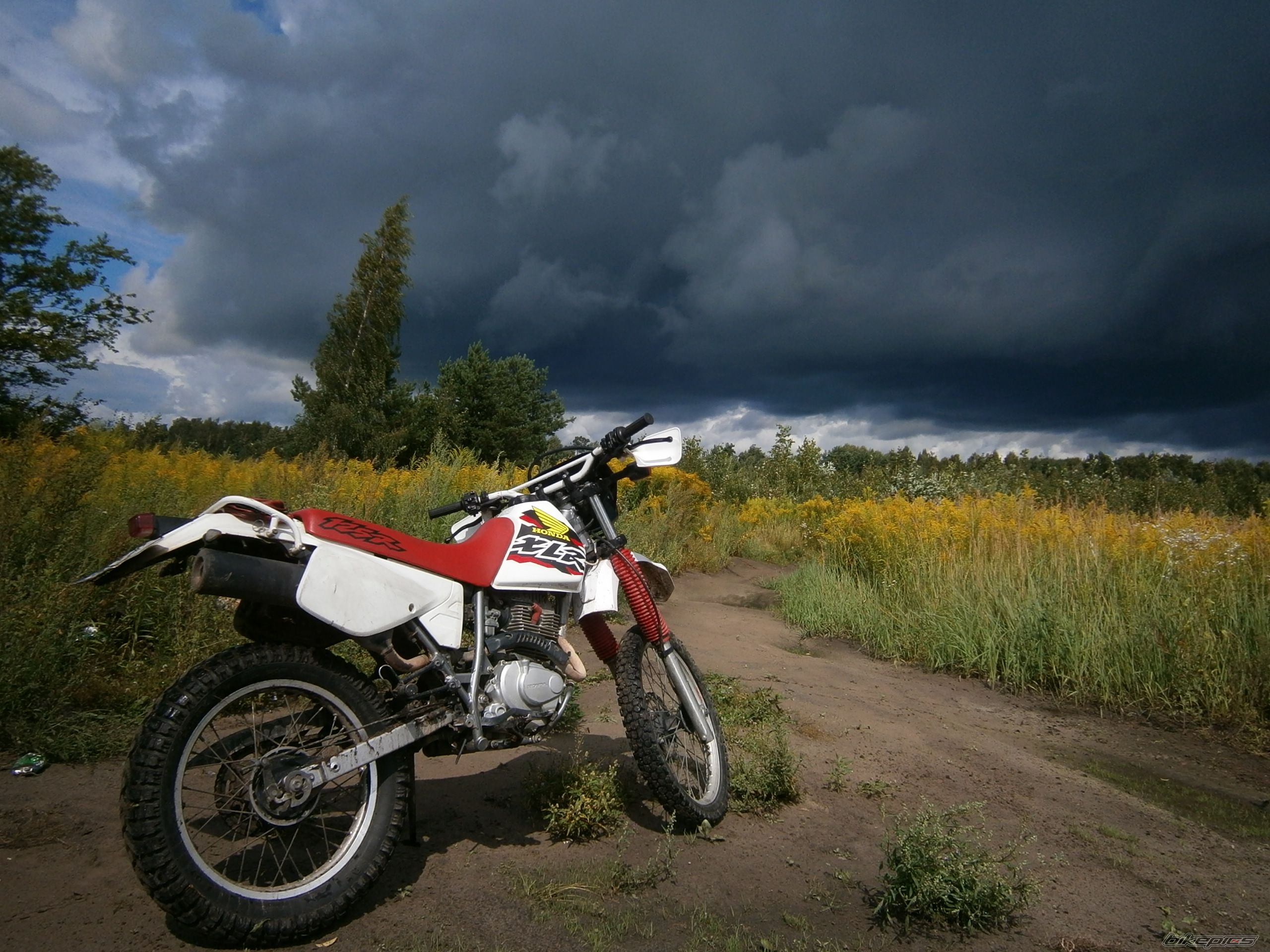 Photo 2254825