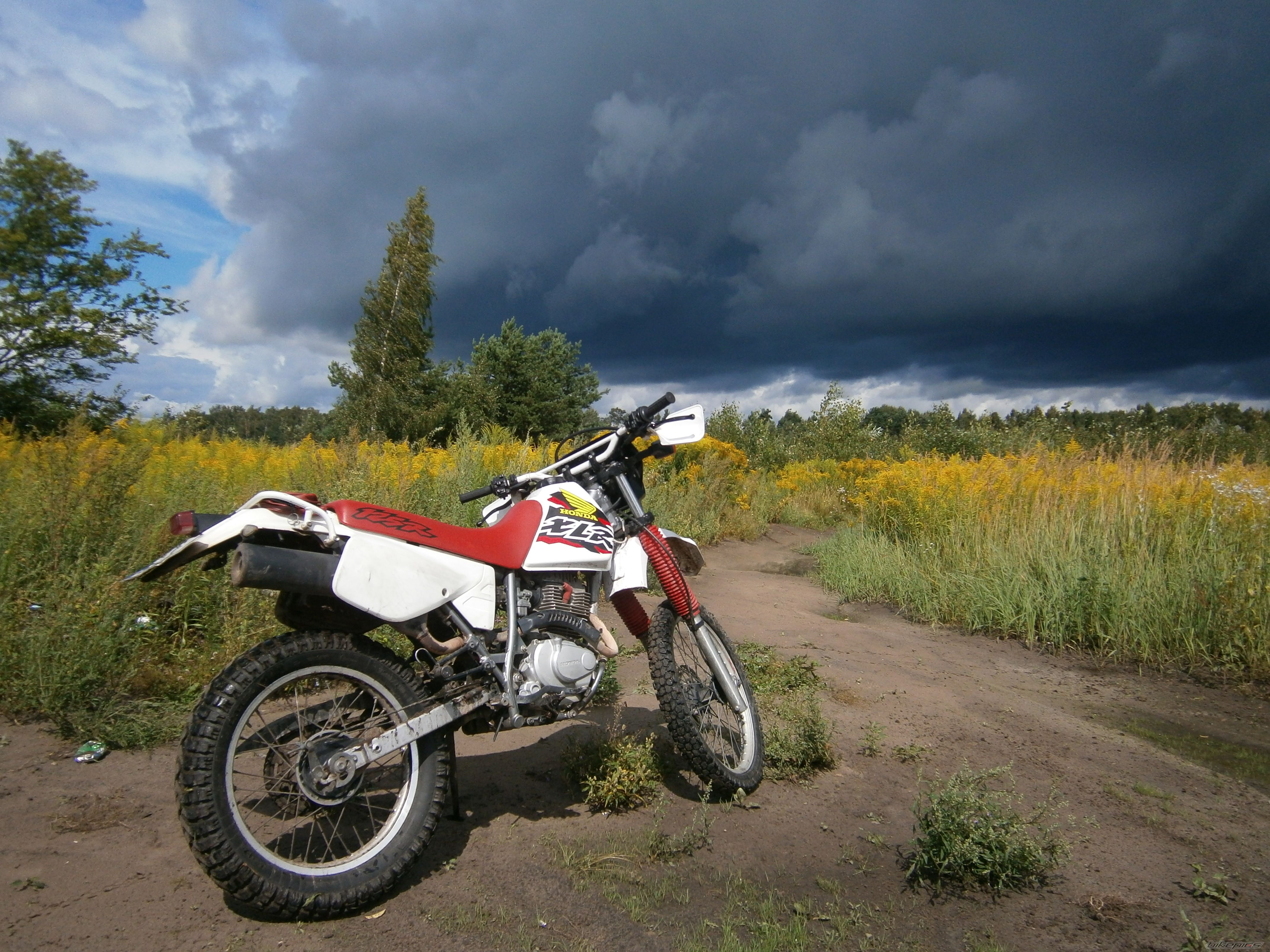Photo 2254826