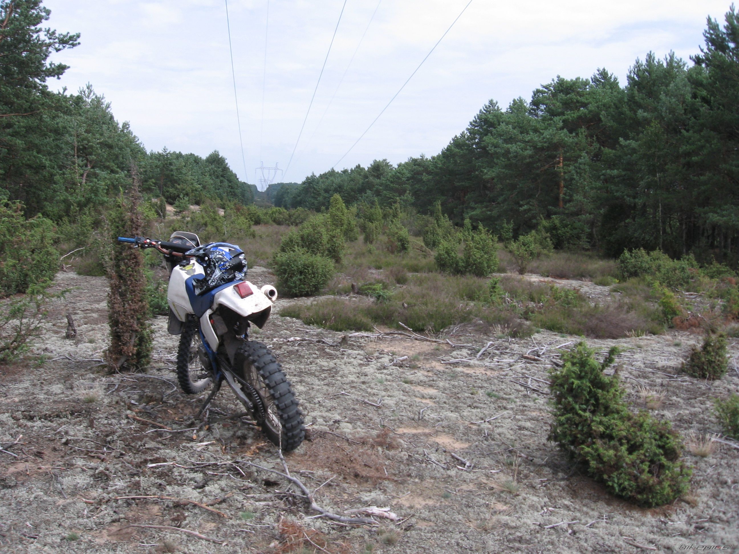Bike Photo 2254848