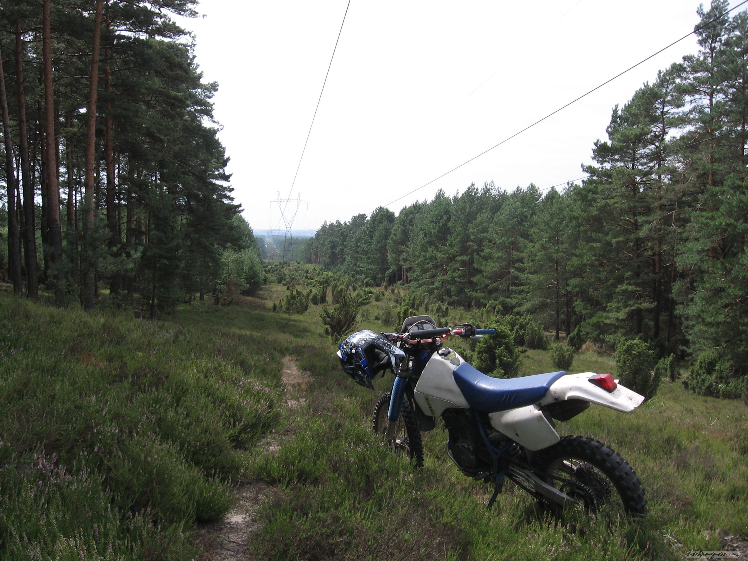 Photo 2254851