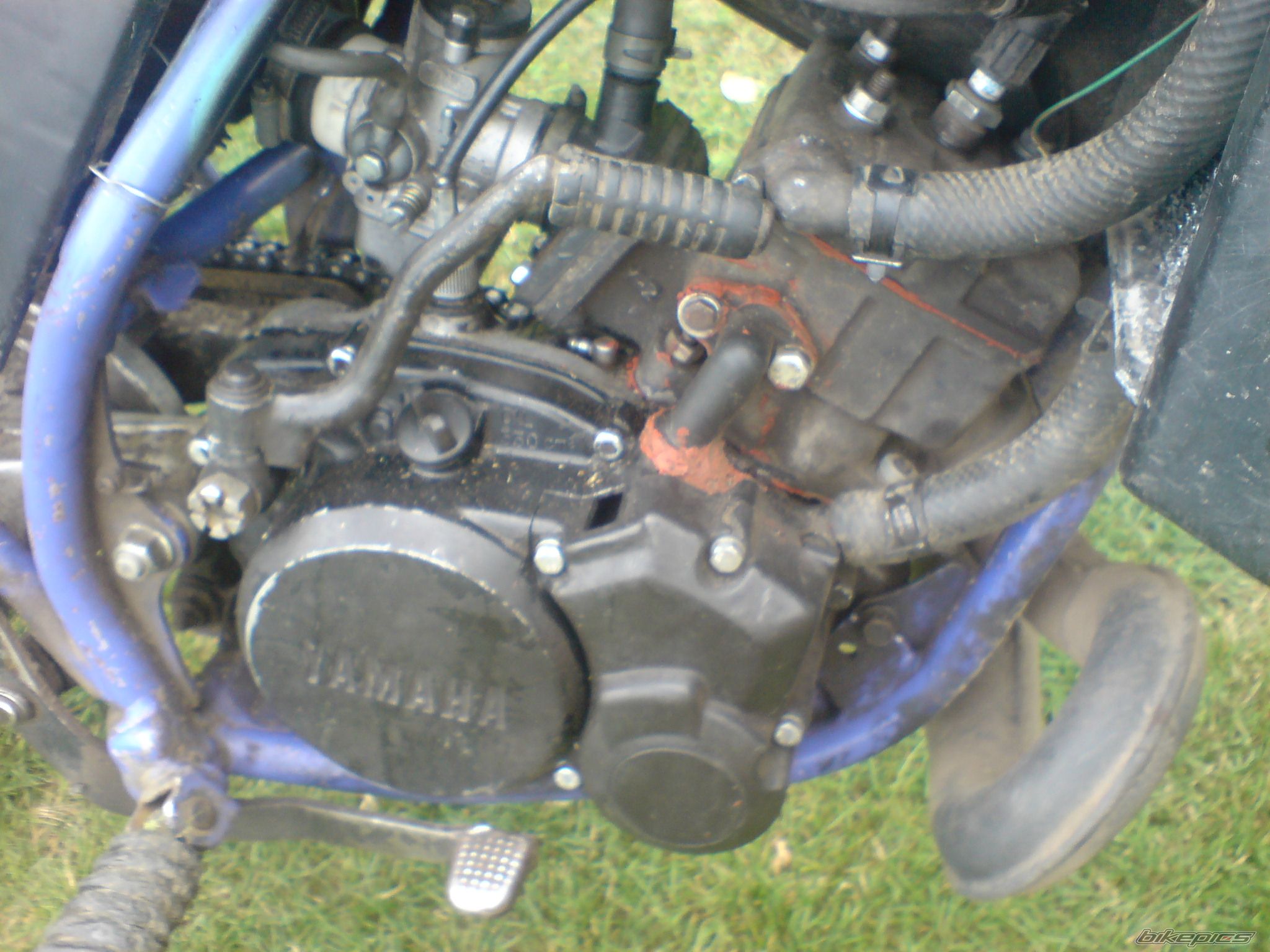 Bike Photo 2255088