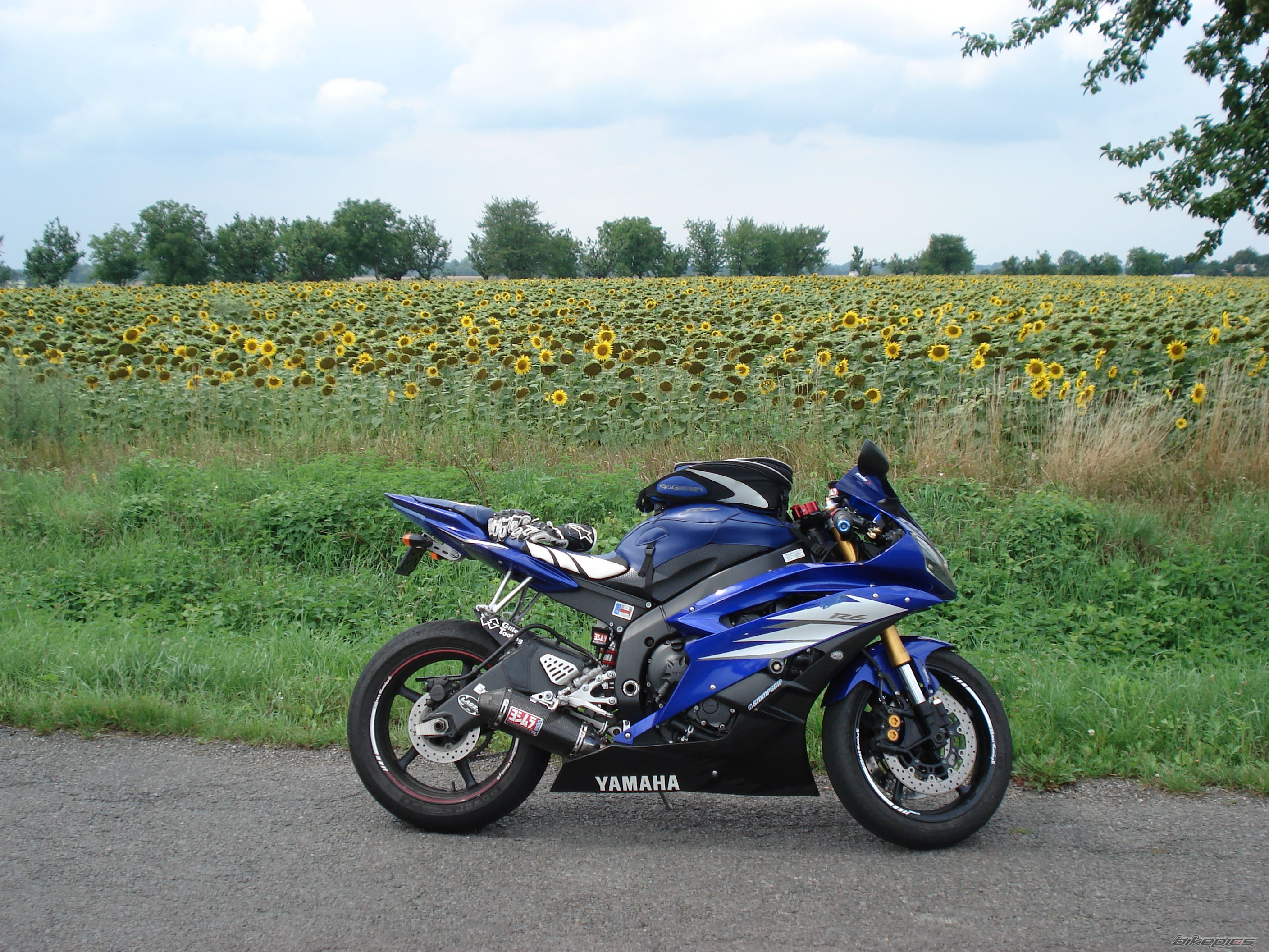 Bike Photo 2255095