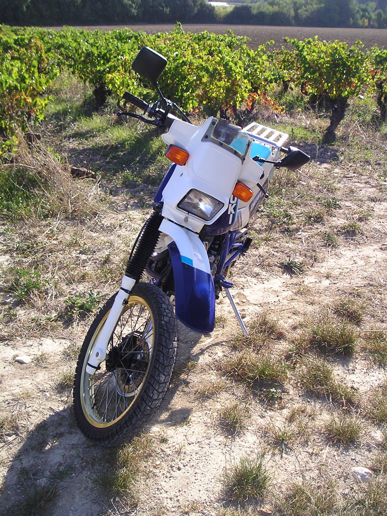 Photo 225536