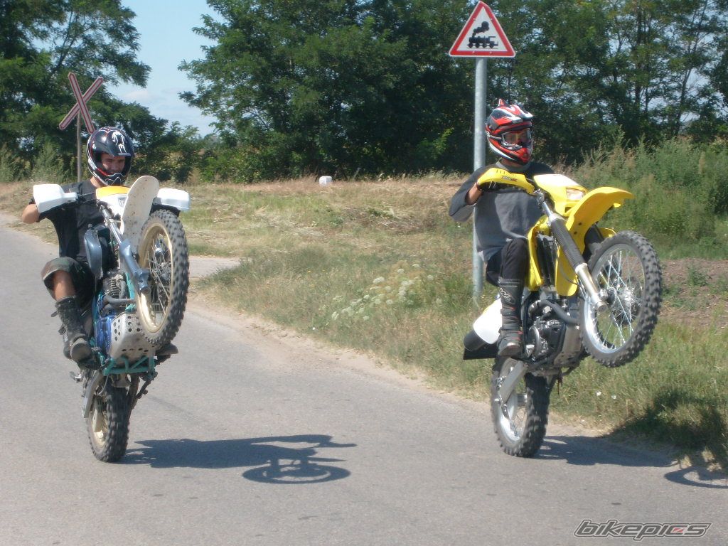 Photo 2255489