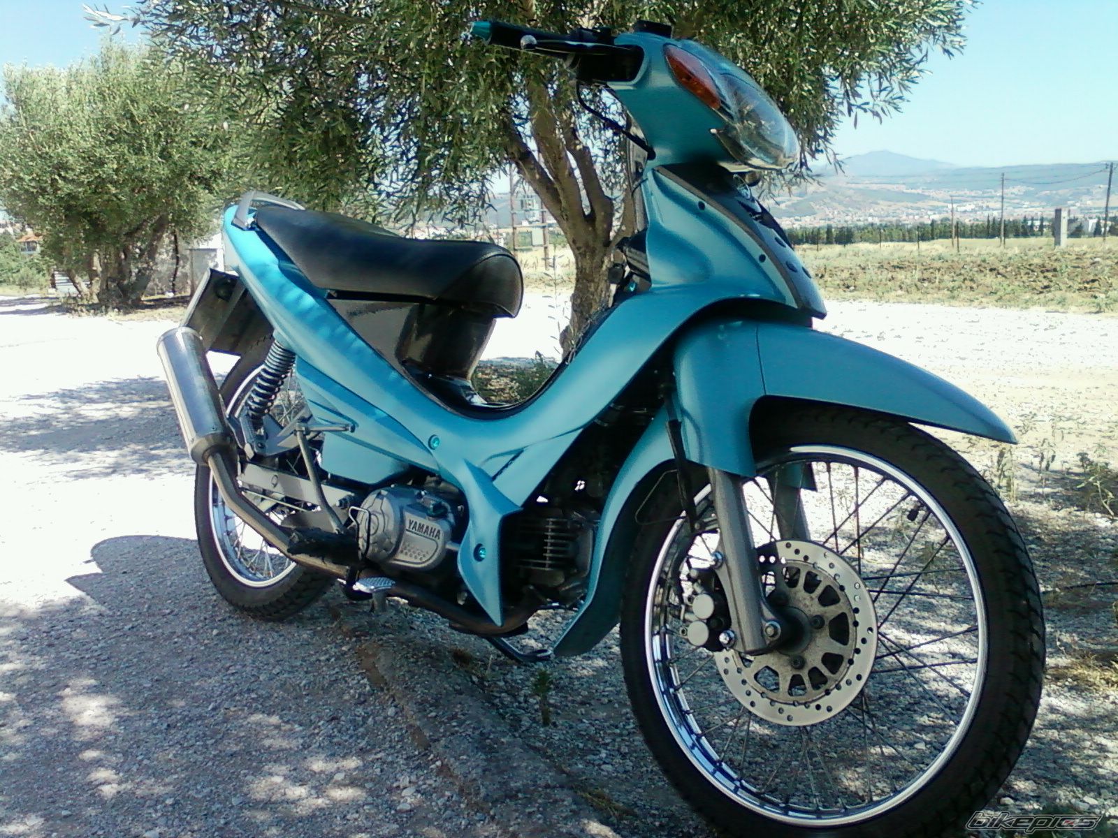 Photo 2255521