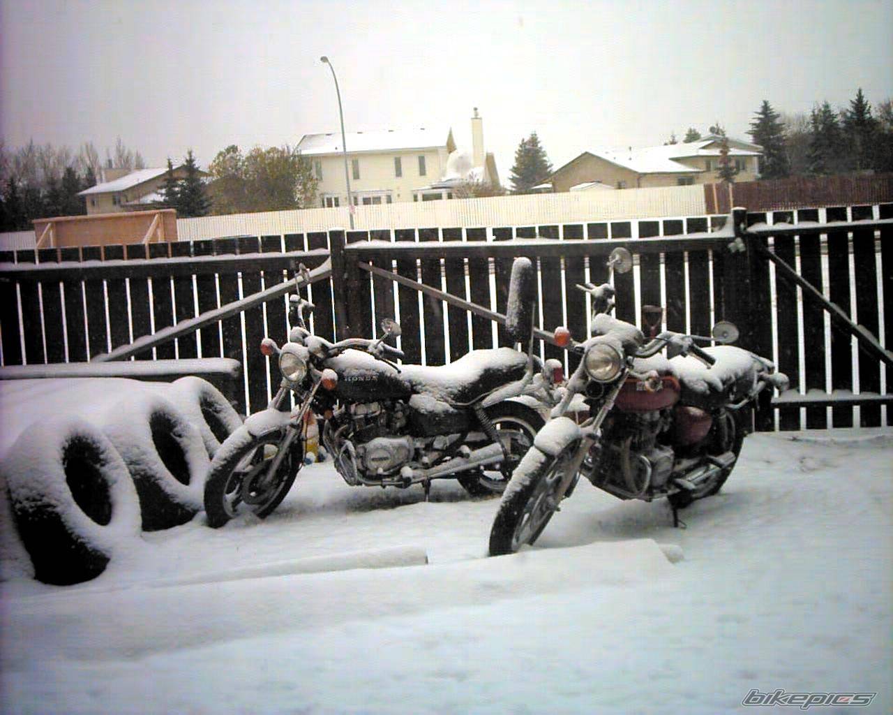 Bike Photo 225557