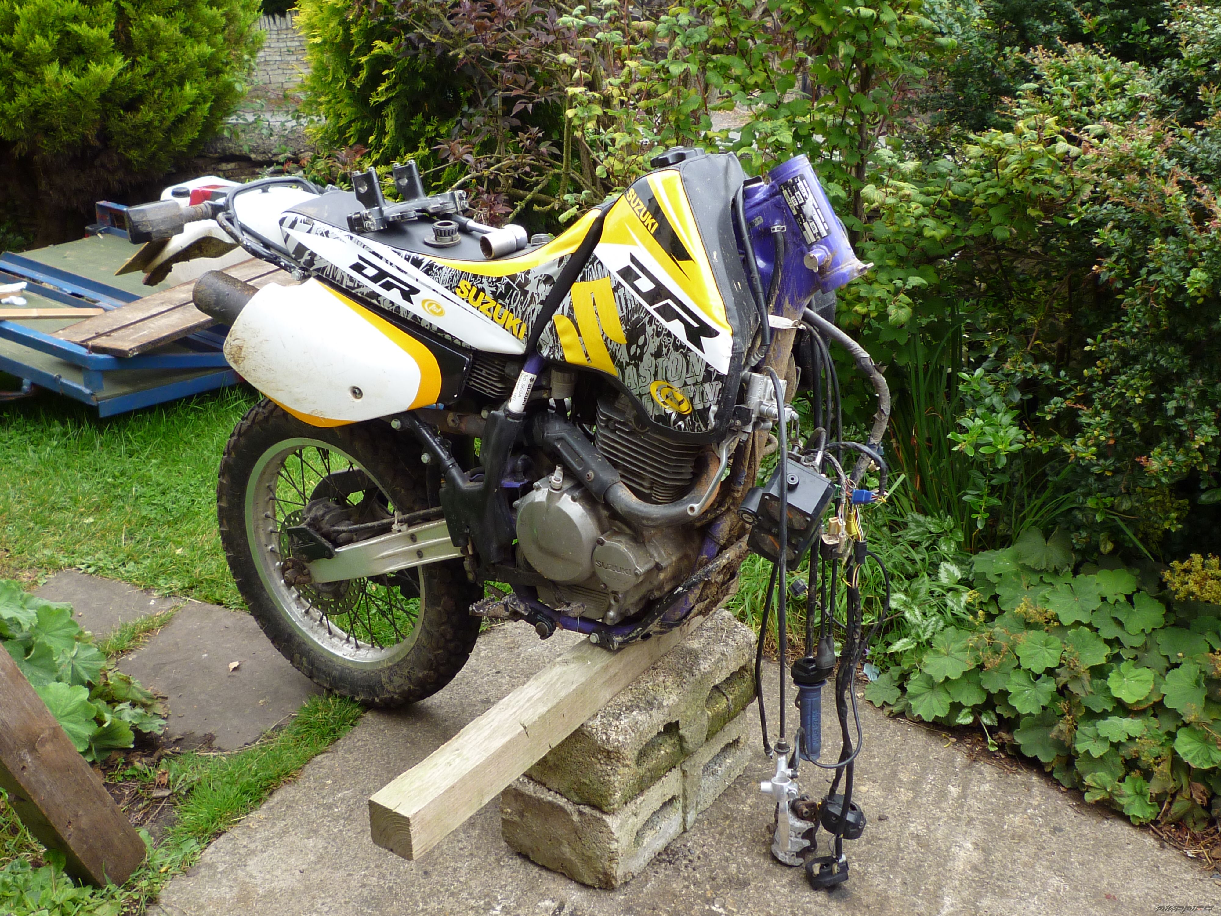Photo 2255646