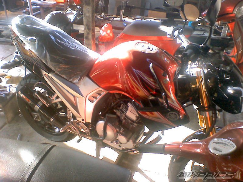 Photo 2255673