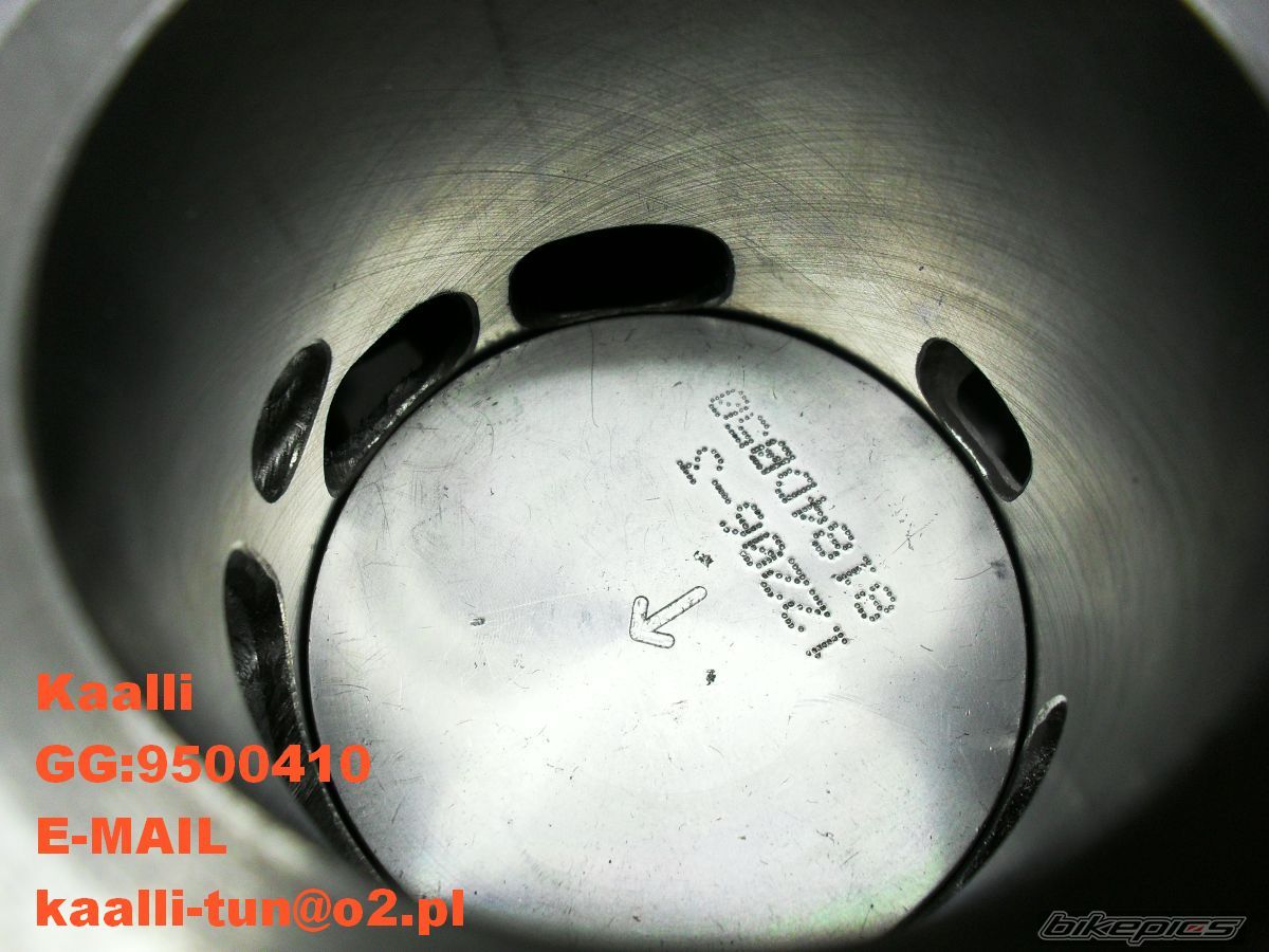 Photo 2255769