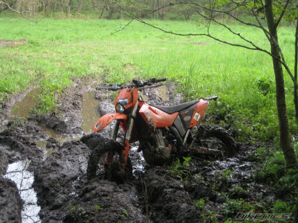 Photo 2255794