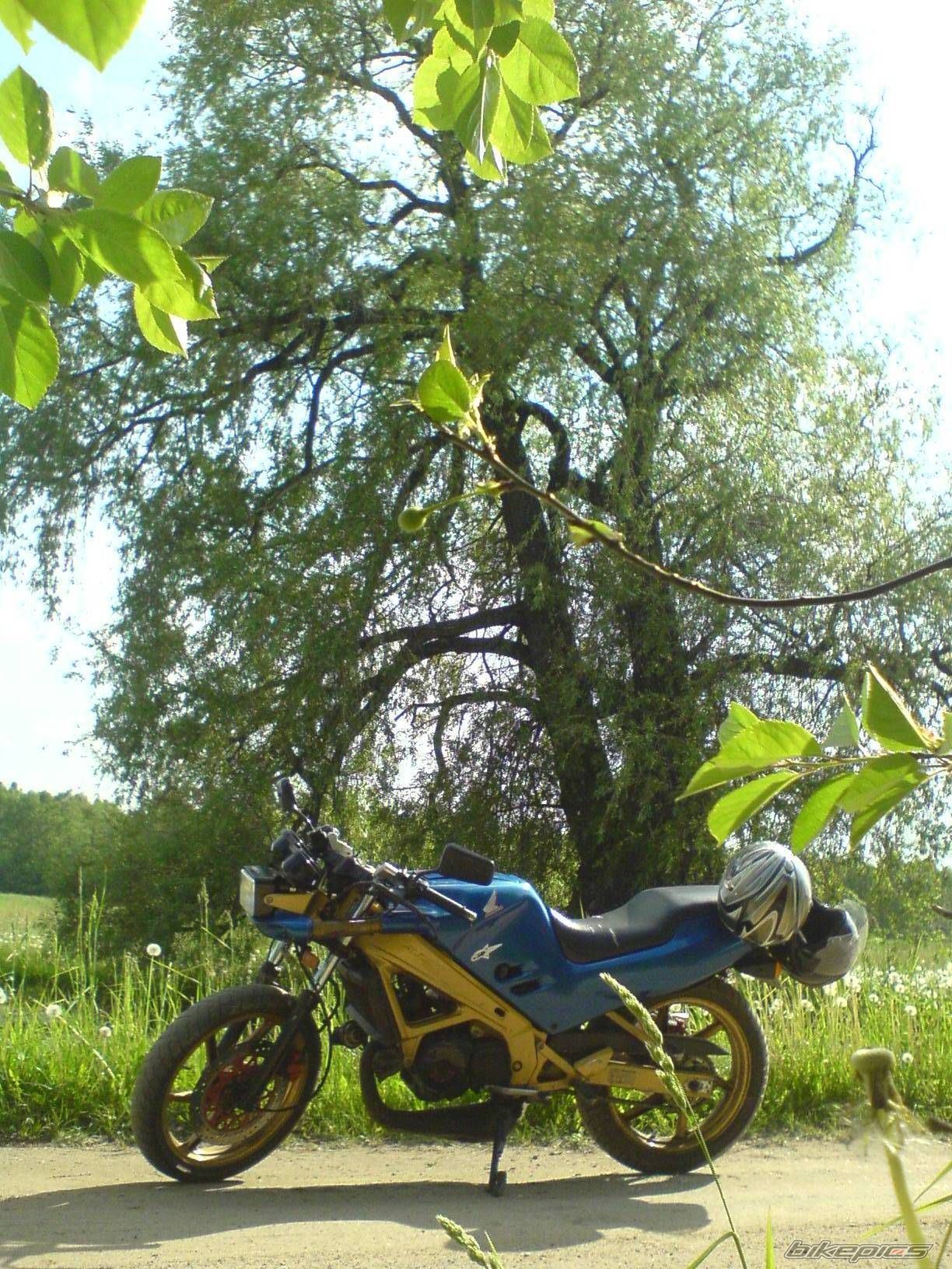 Photo 2255835