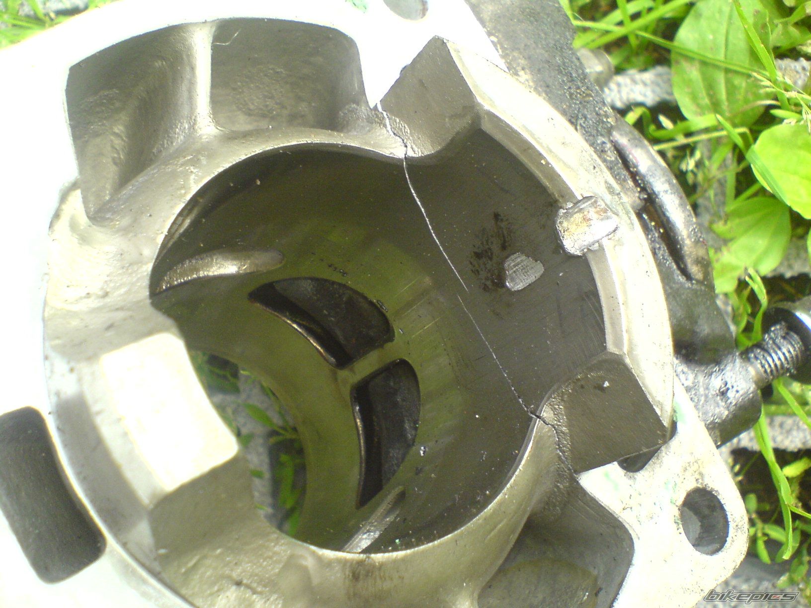 Photo 2255874