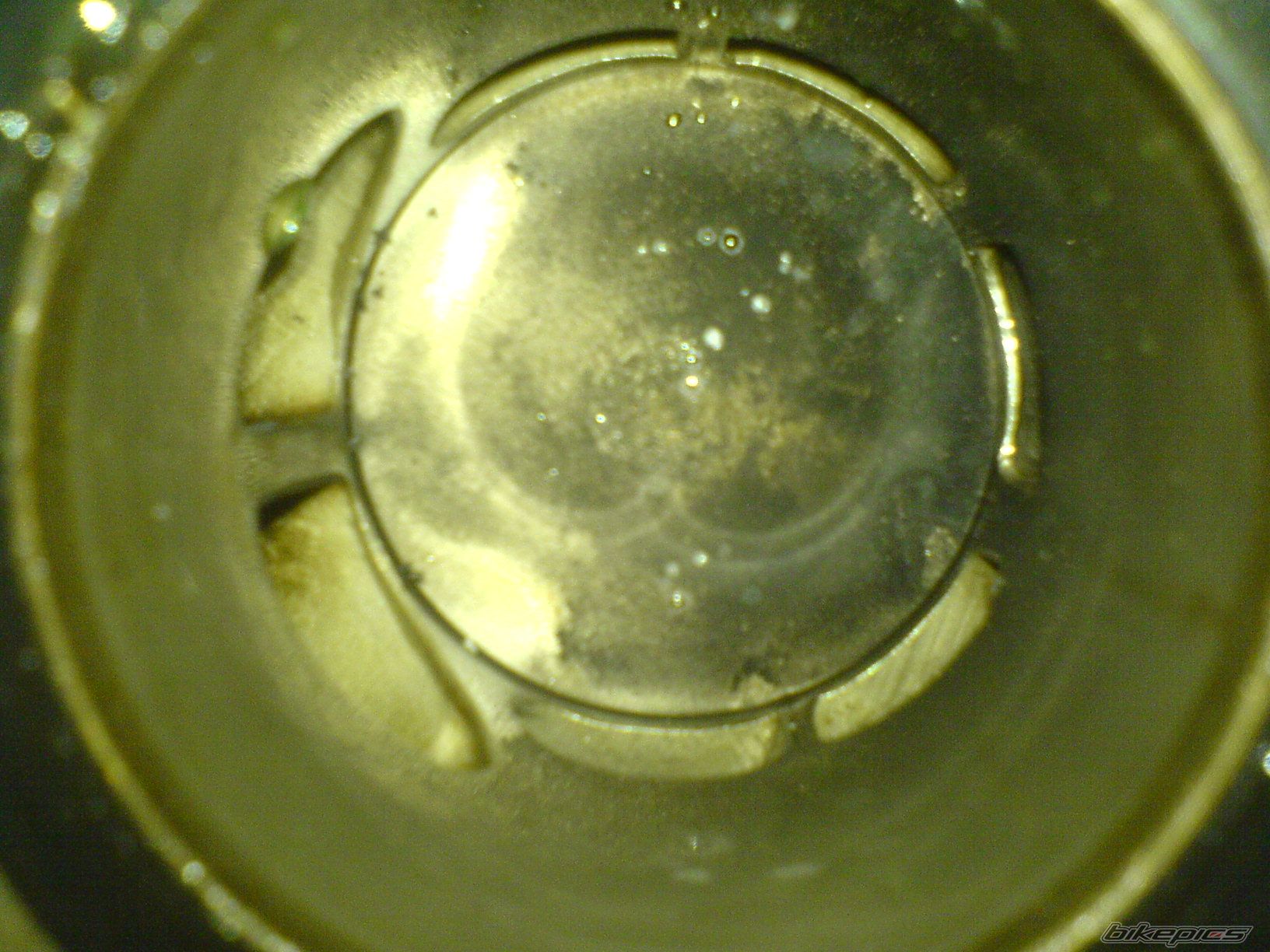 Photo 2255880