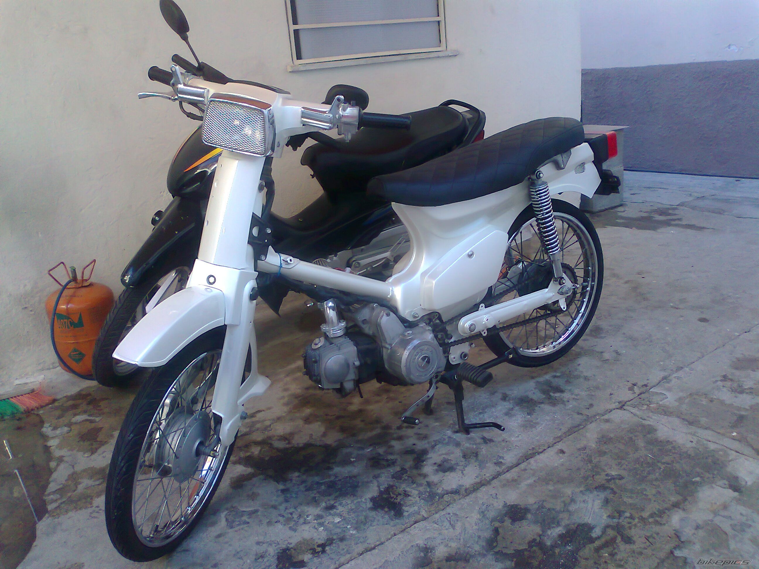 Photo 2255914