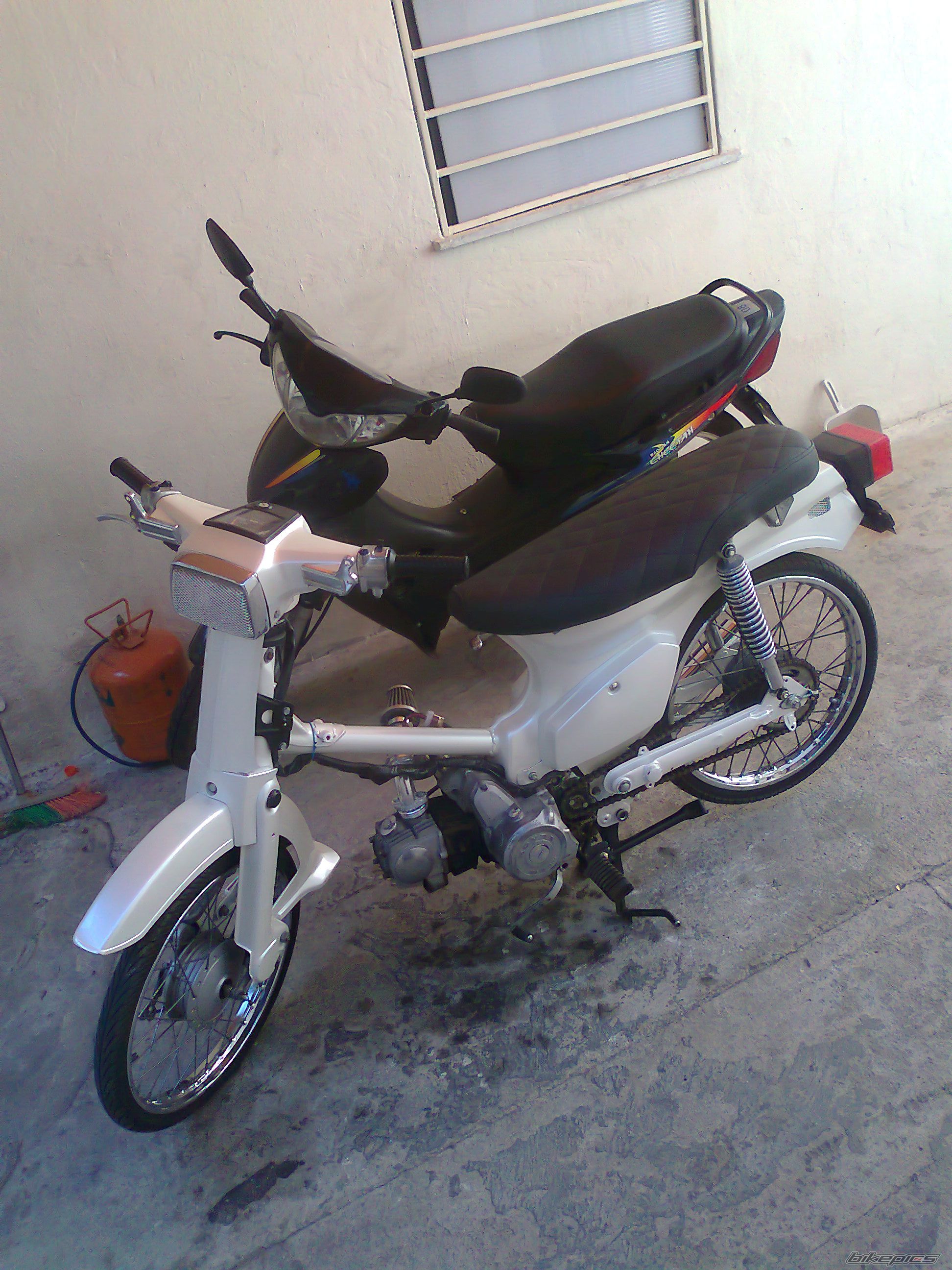 Photo 2255918
