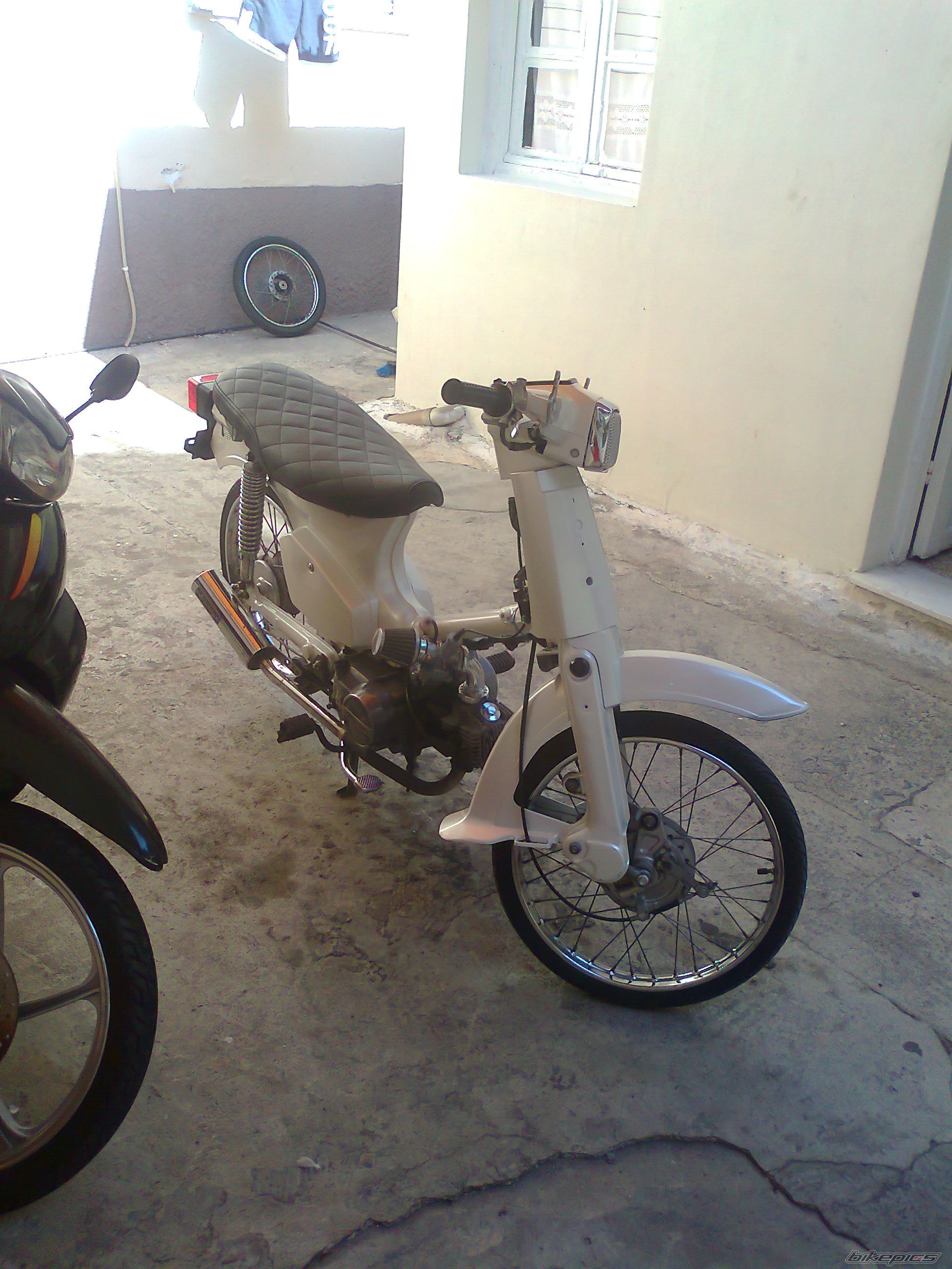 Photo 2255919