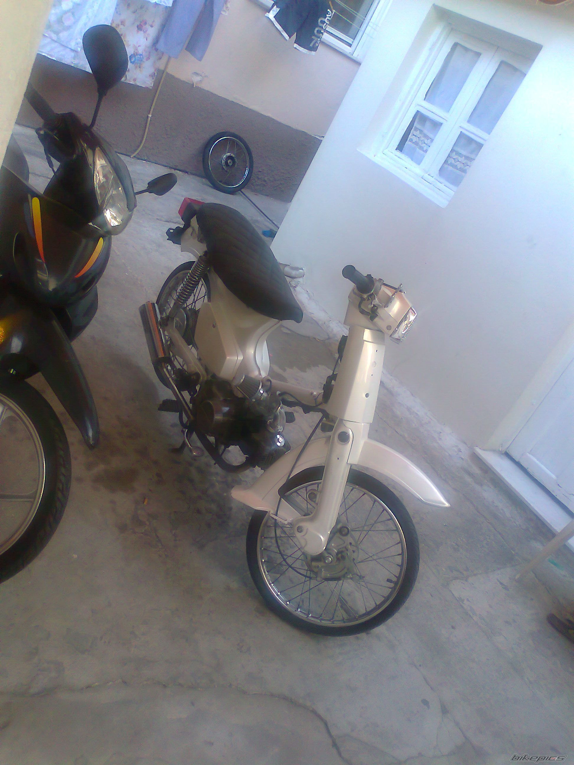 Photo 2255921