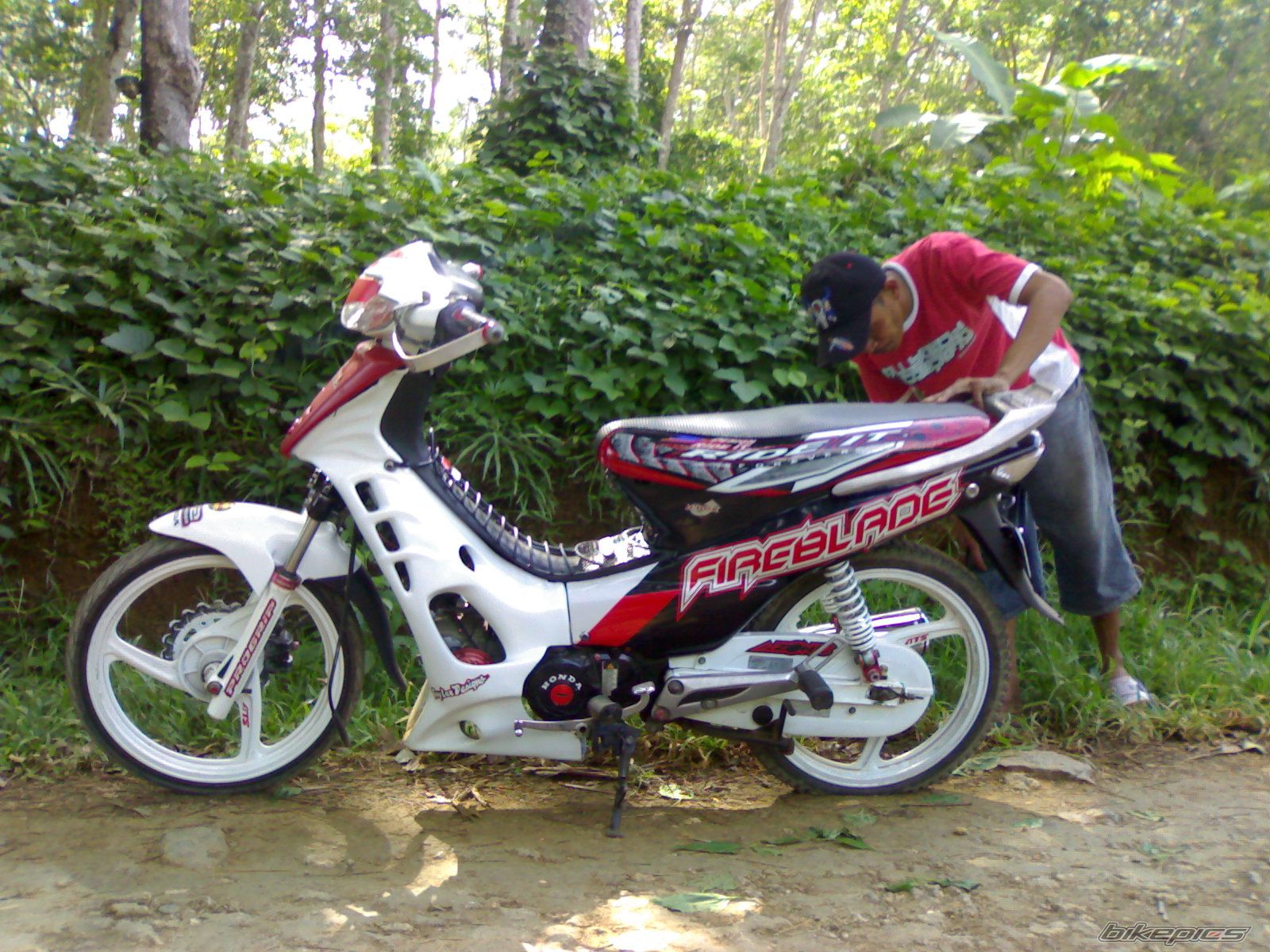 Photo 2255923