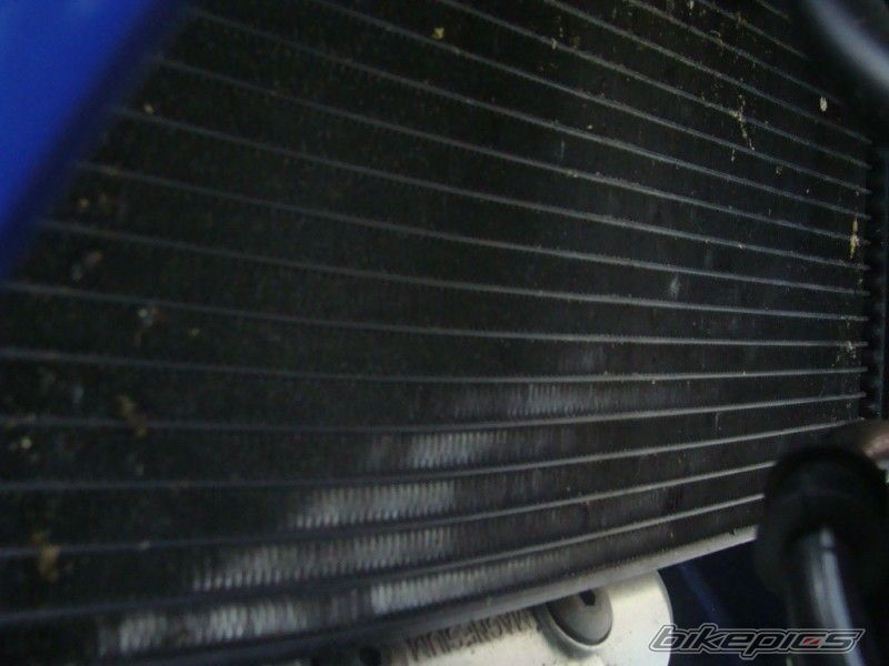 Bike Photo 2255936