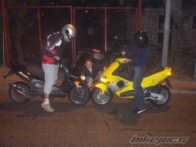 Photo 225597