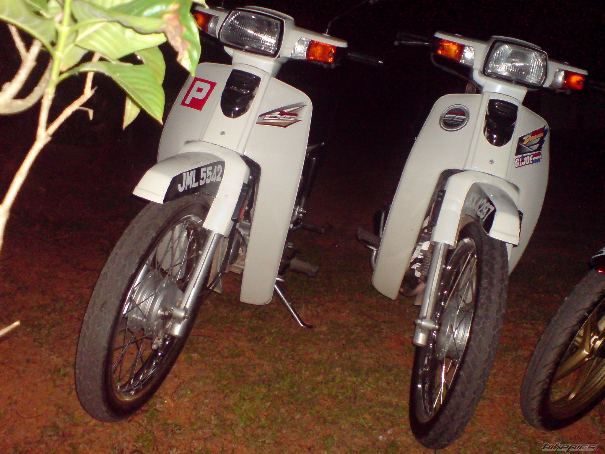 Photo 2255983
