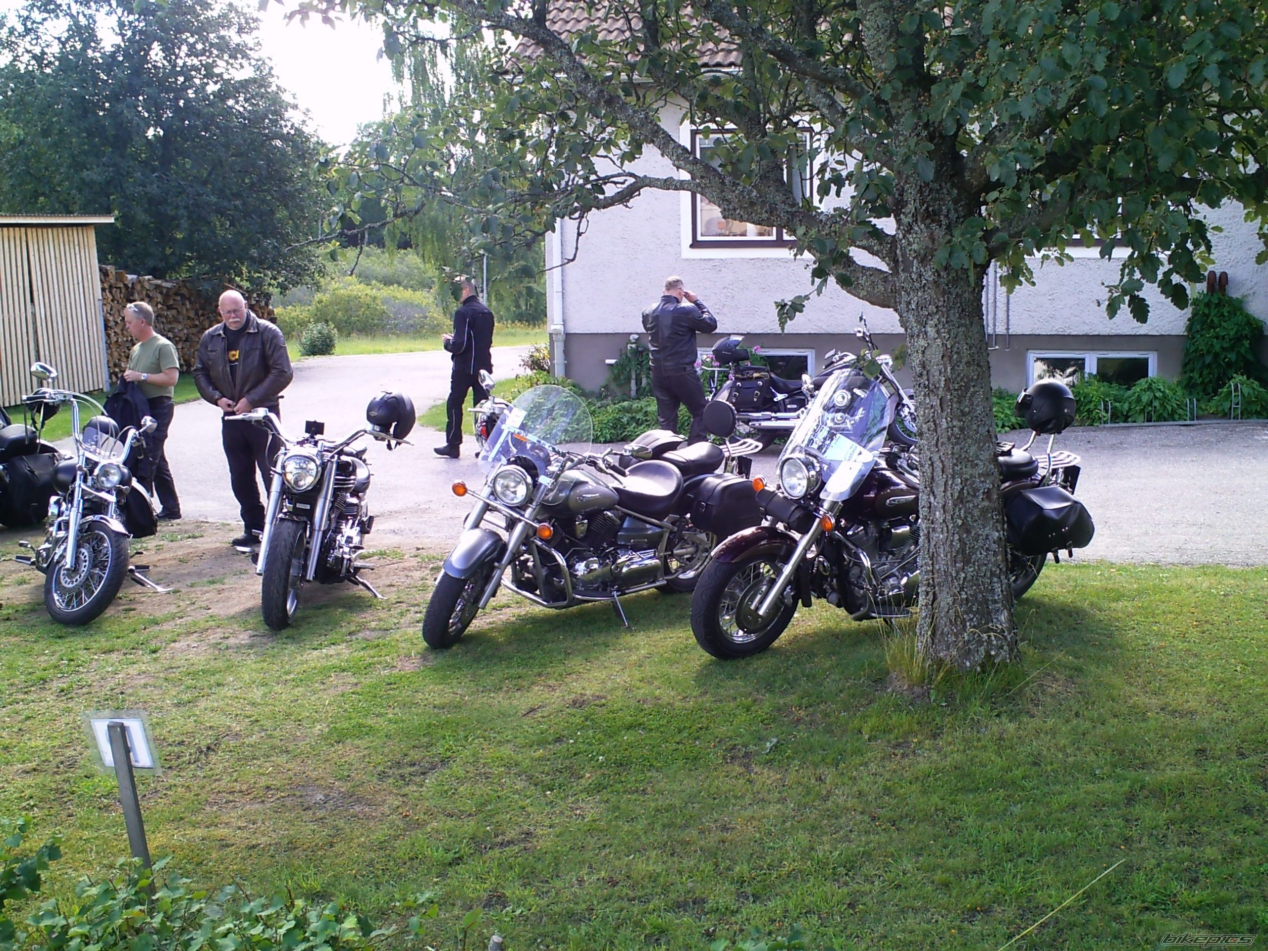 Photo 2256013