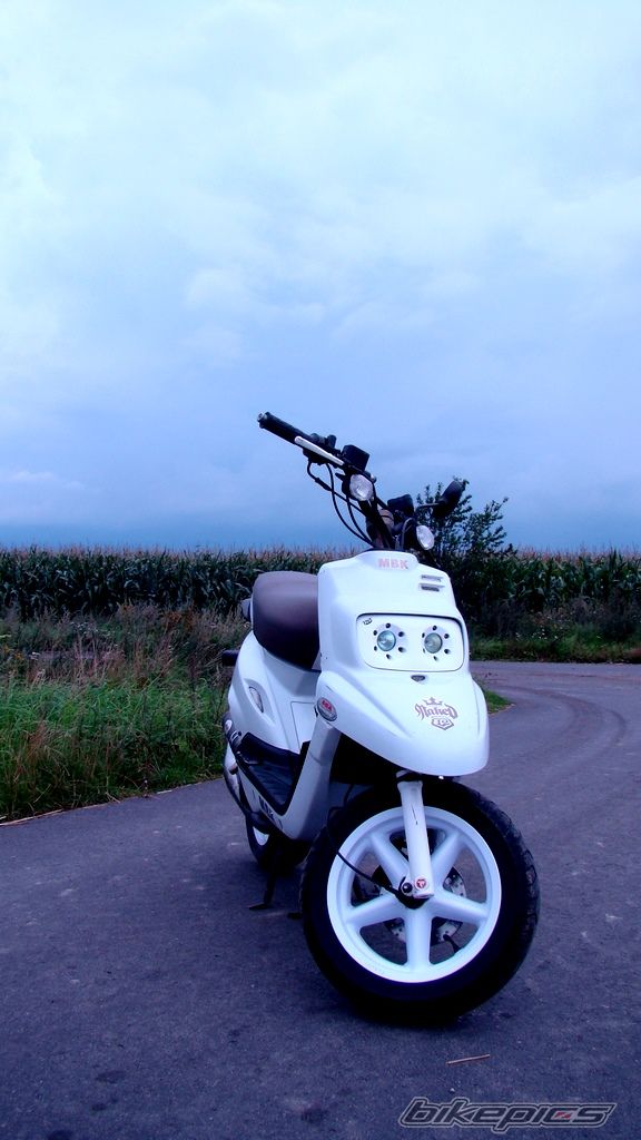 Photo 2256094