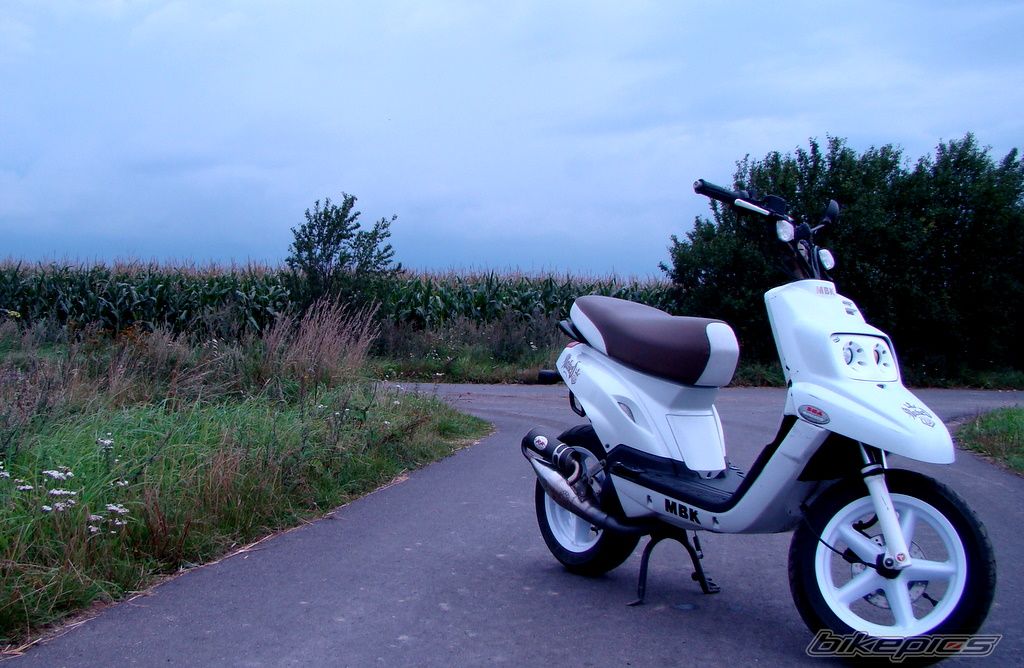 Photo 2256095