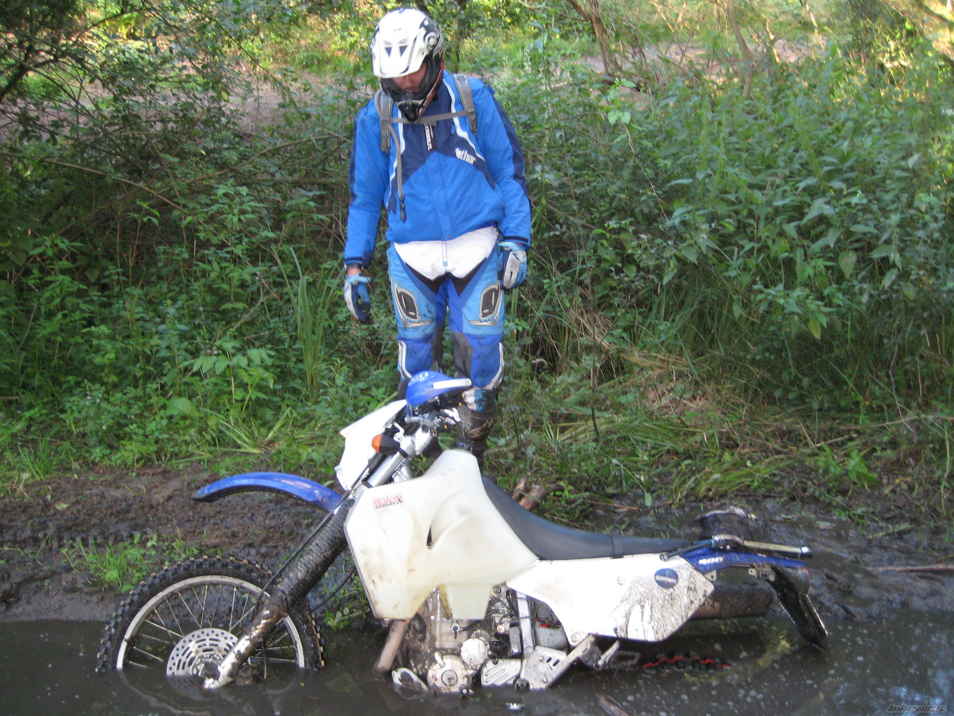 Photo 2256213