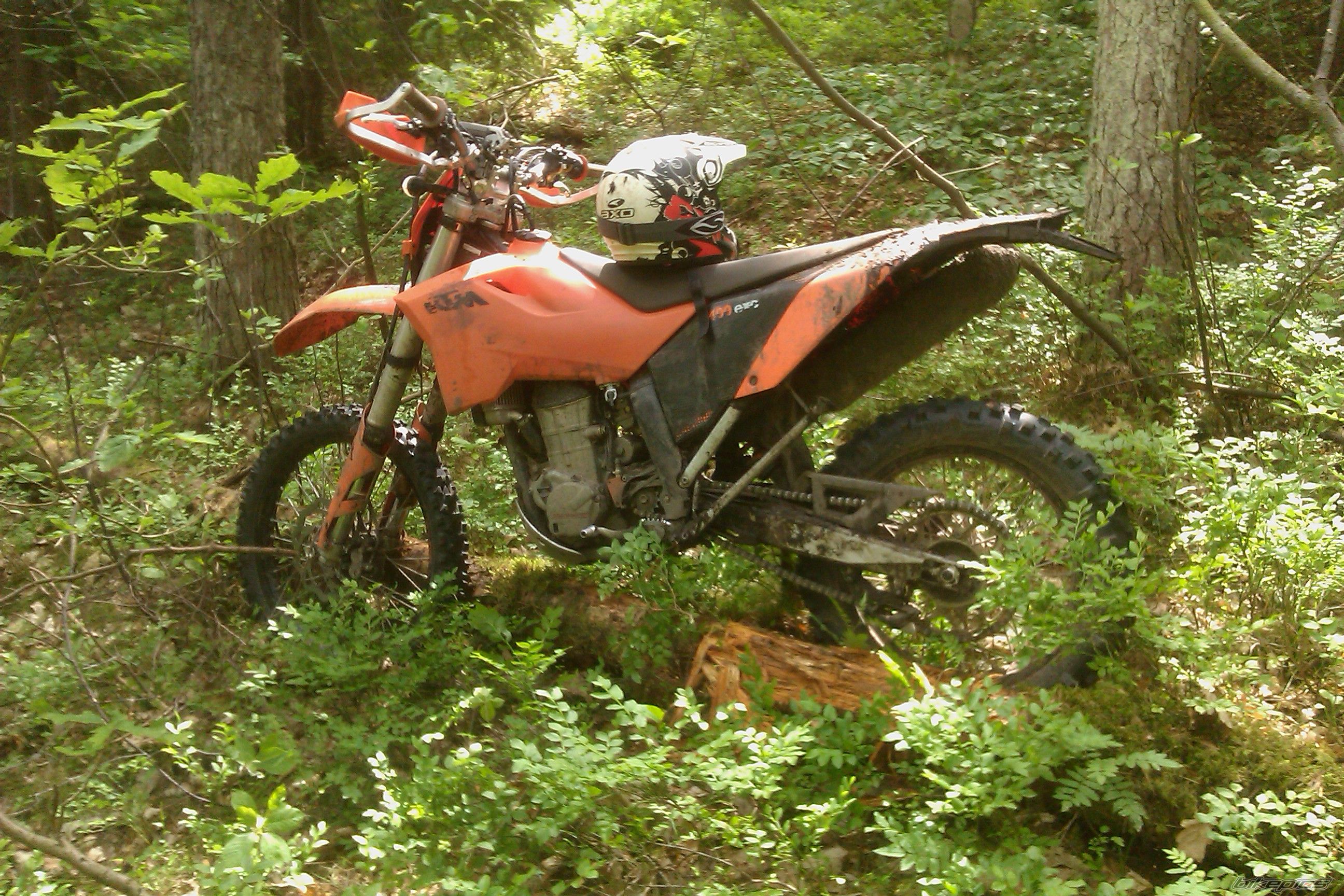 Photo 2256231