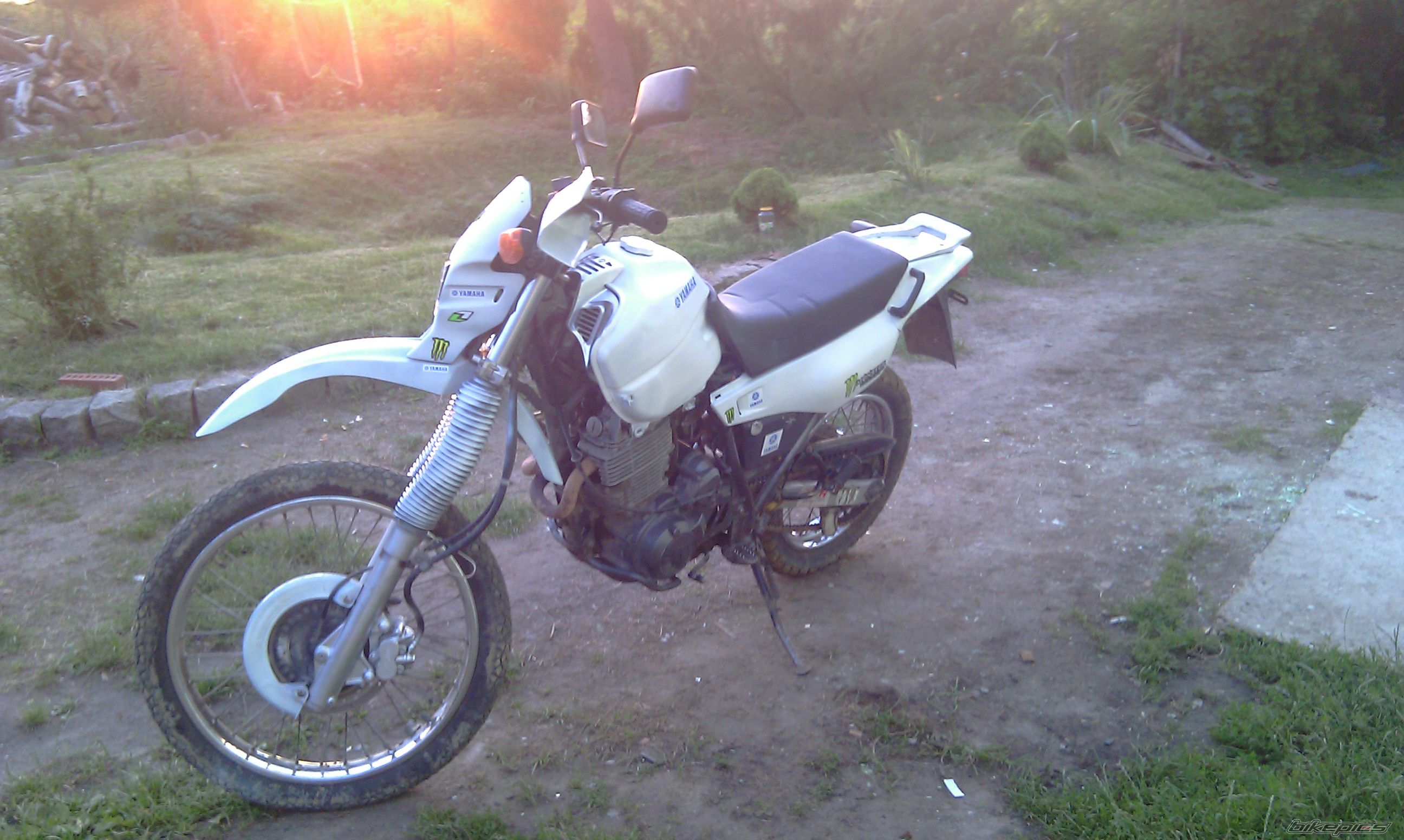 Photo 2256409